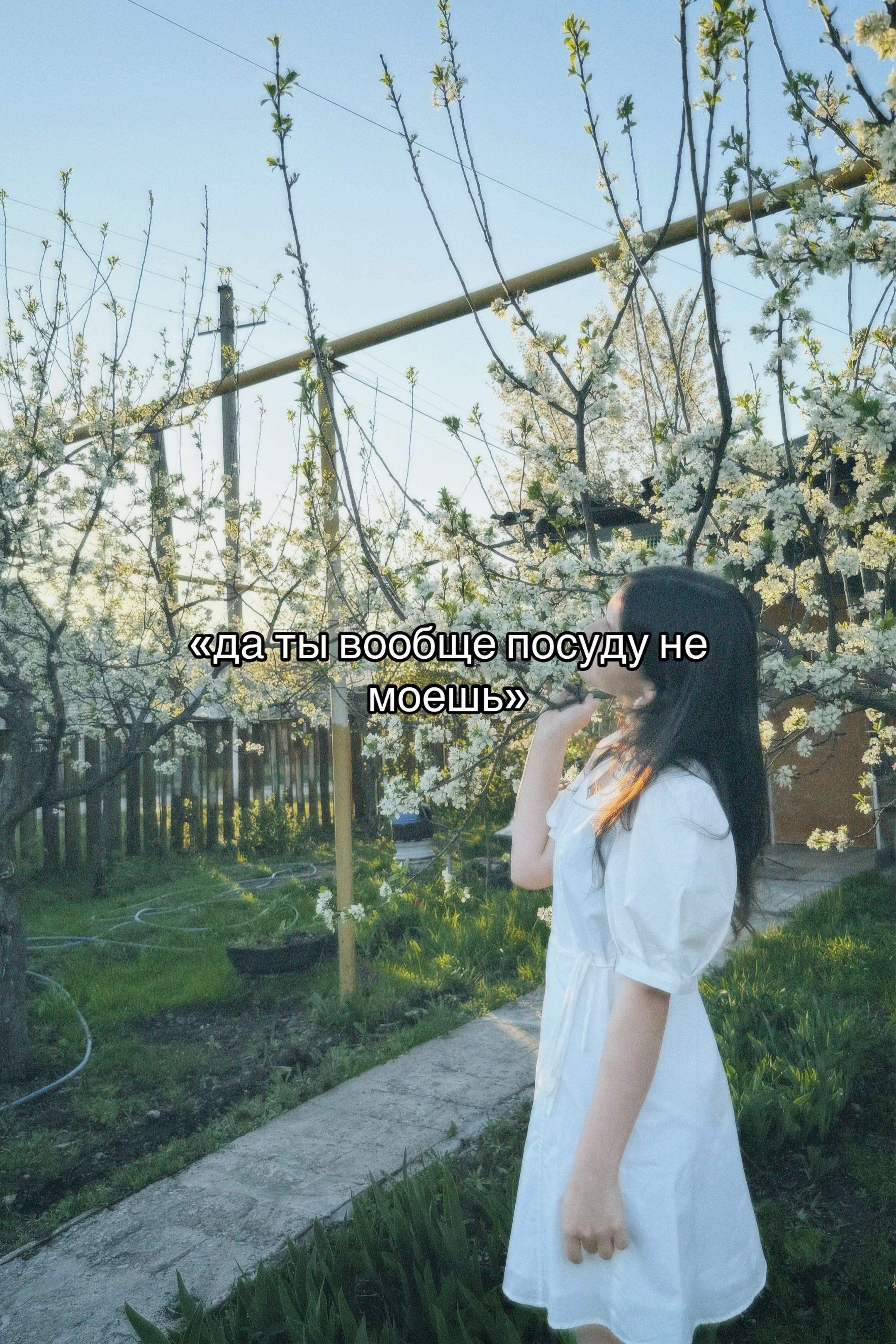 @тгк: паулайф