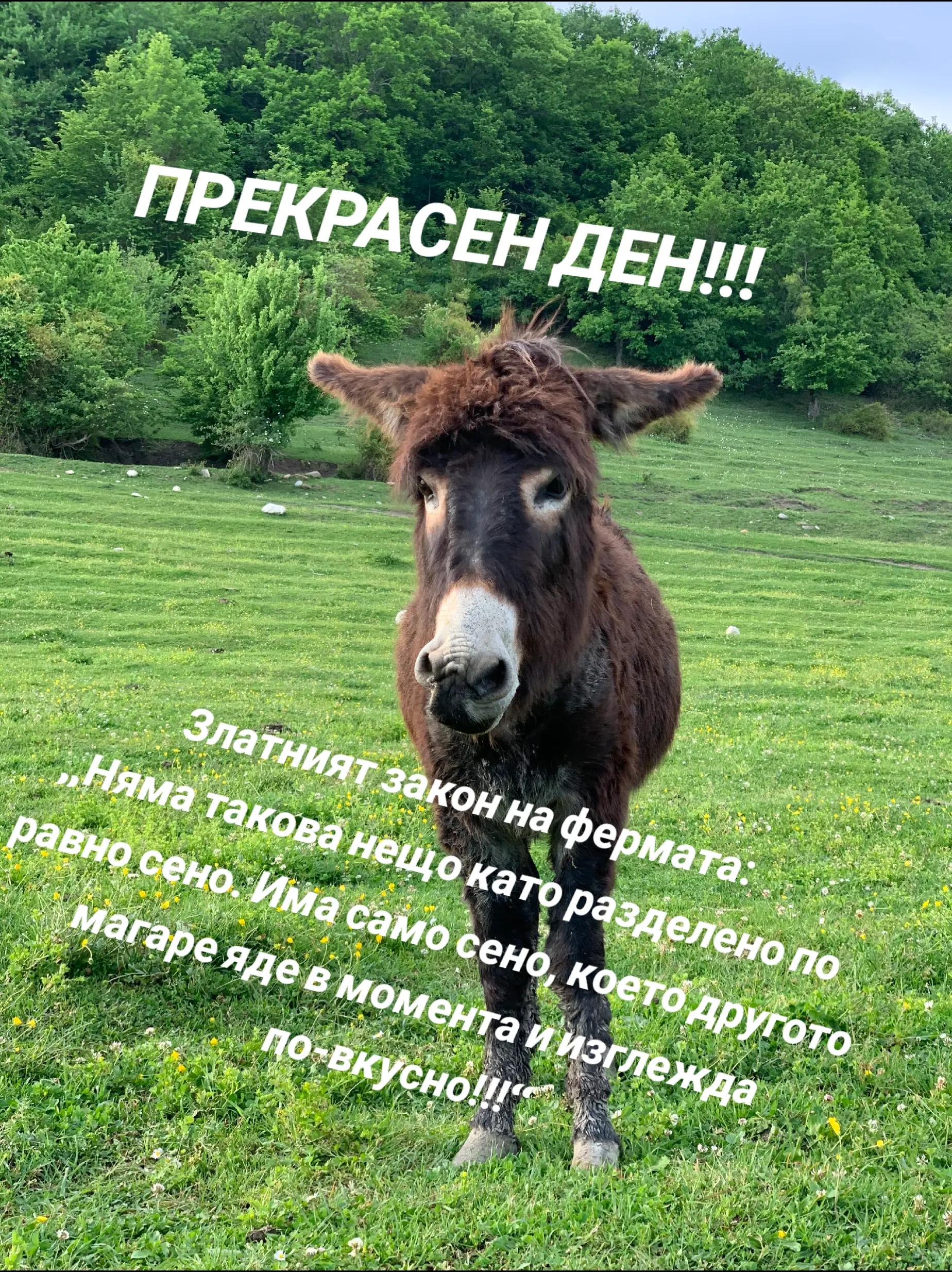 @ИЦКО