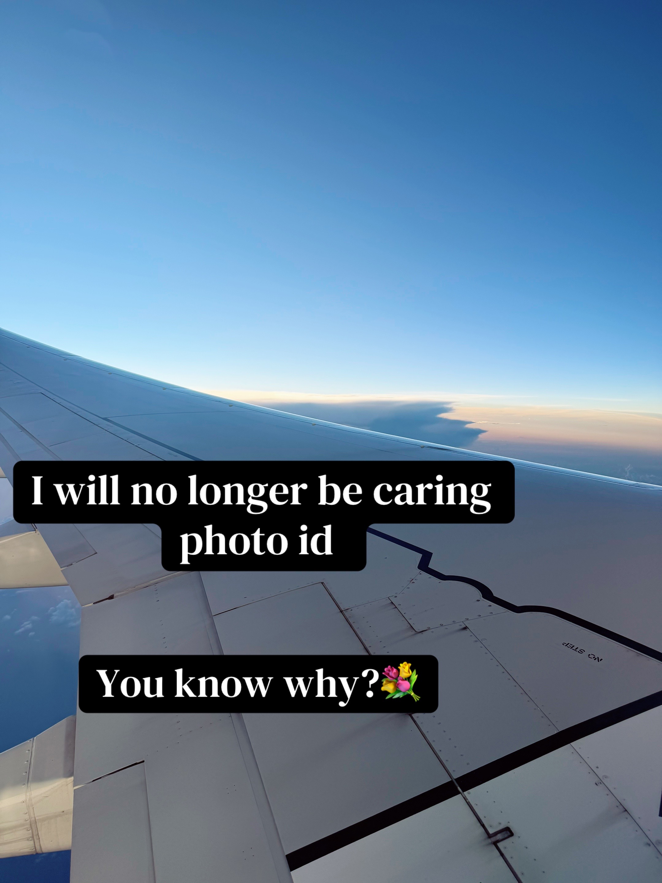 @โ๏ฝกเญจ๐ ๐ ๐ ๐ ๐ ๐เญงห๏ฝกโ