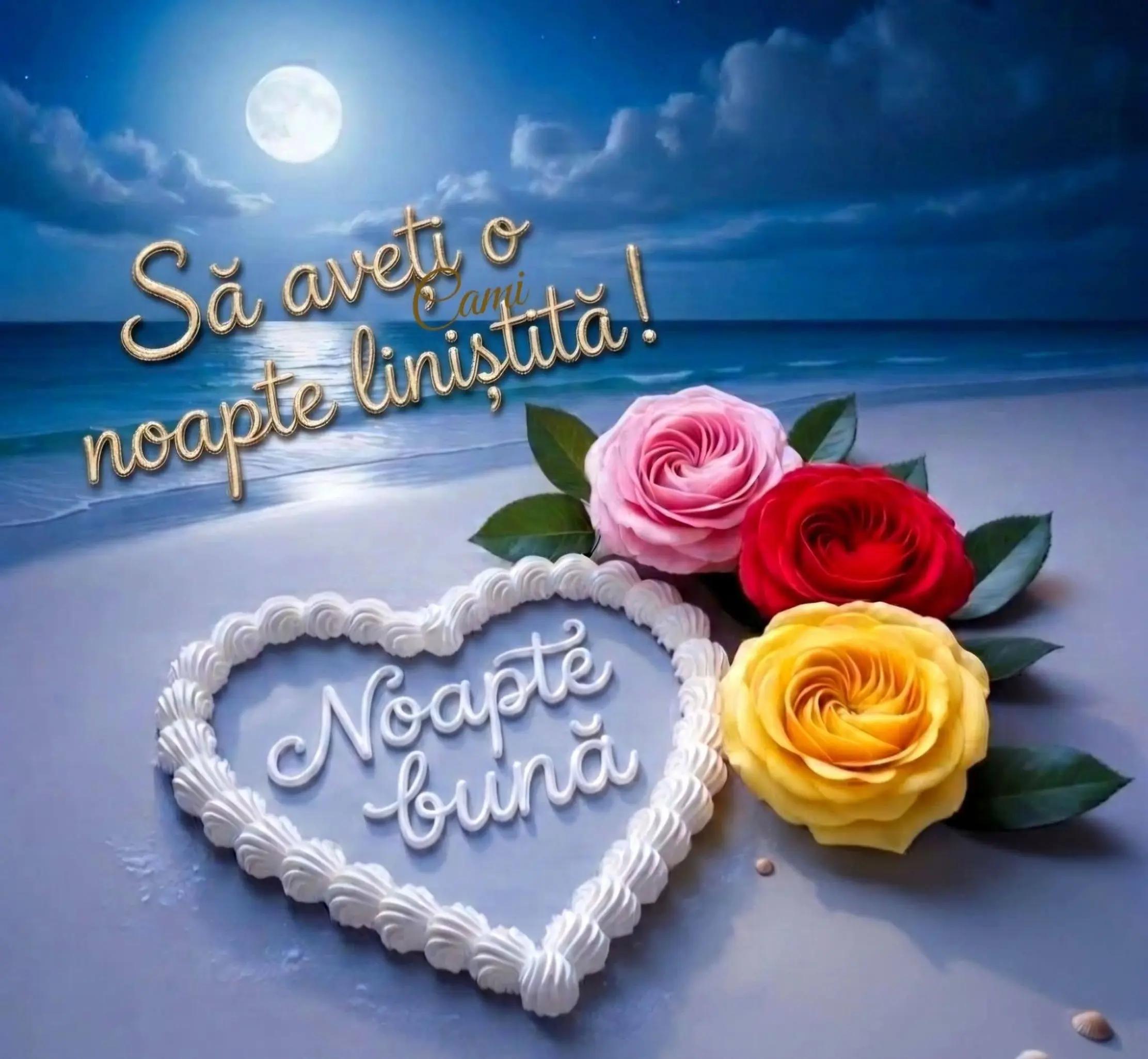 @Elena Popa8028