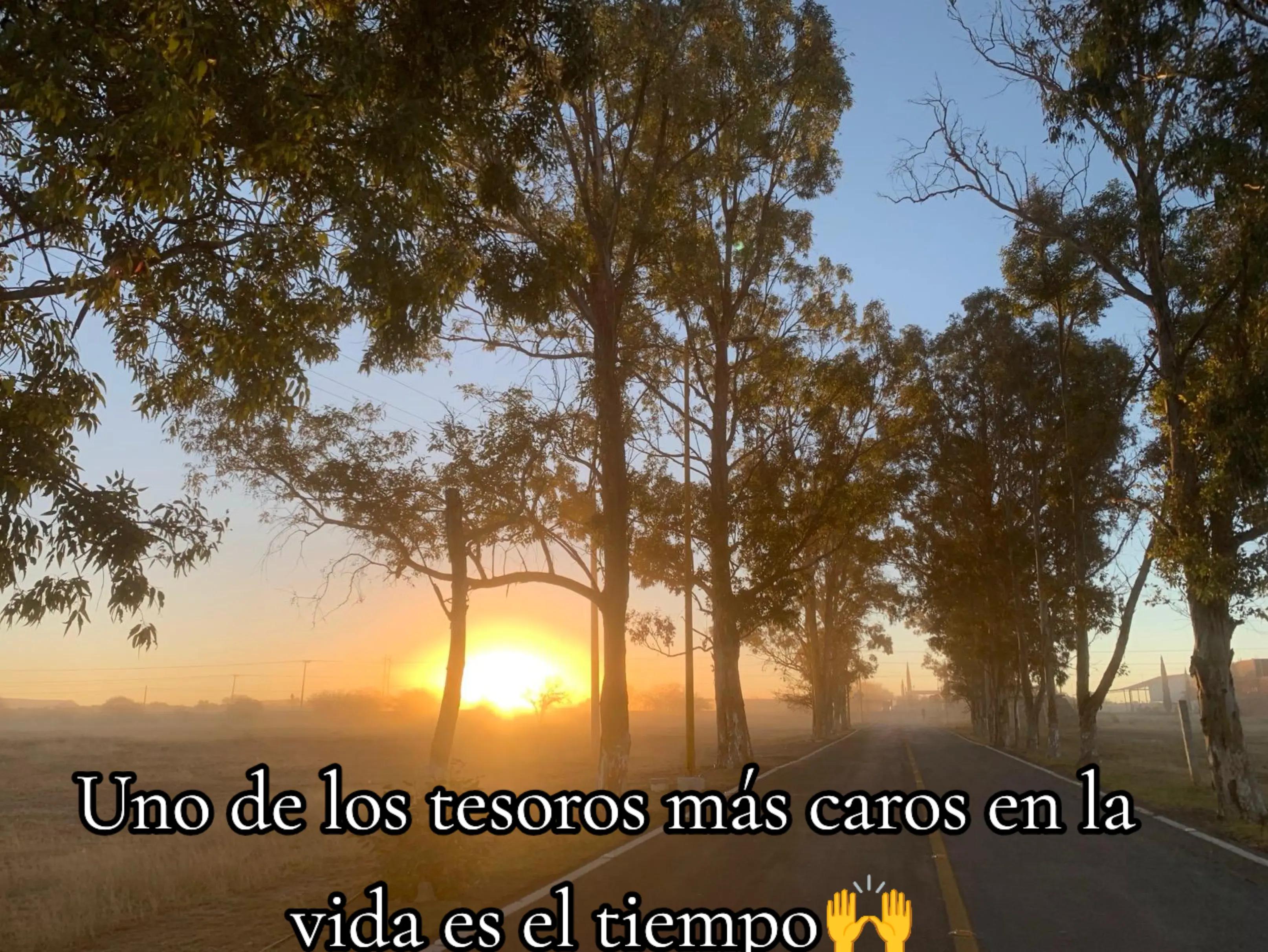 @Antonia Acosta