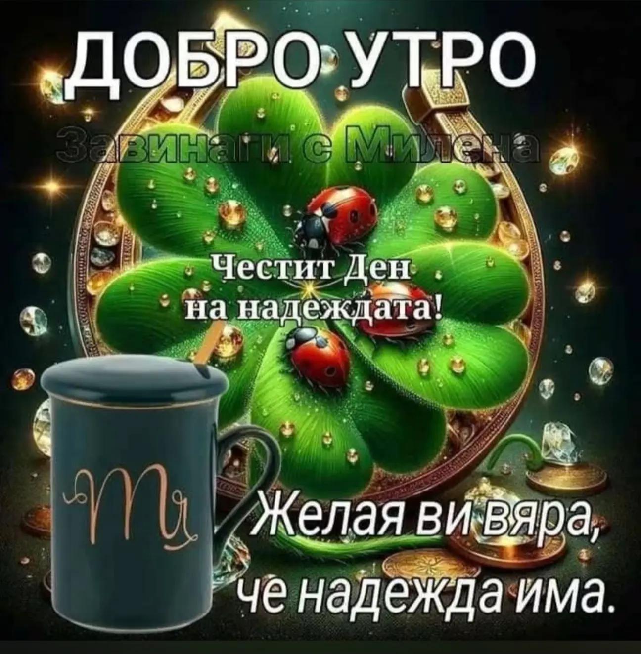 @🇧🇬🇧🇬🇧🇬ХРИСТО ДОНЕВ🤍💚❤️