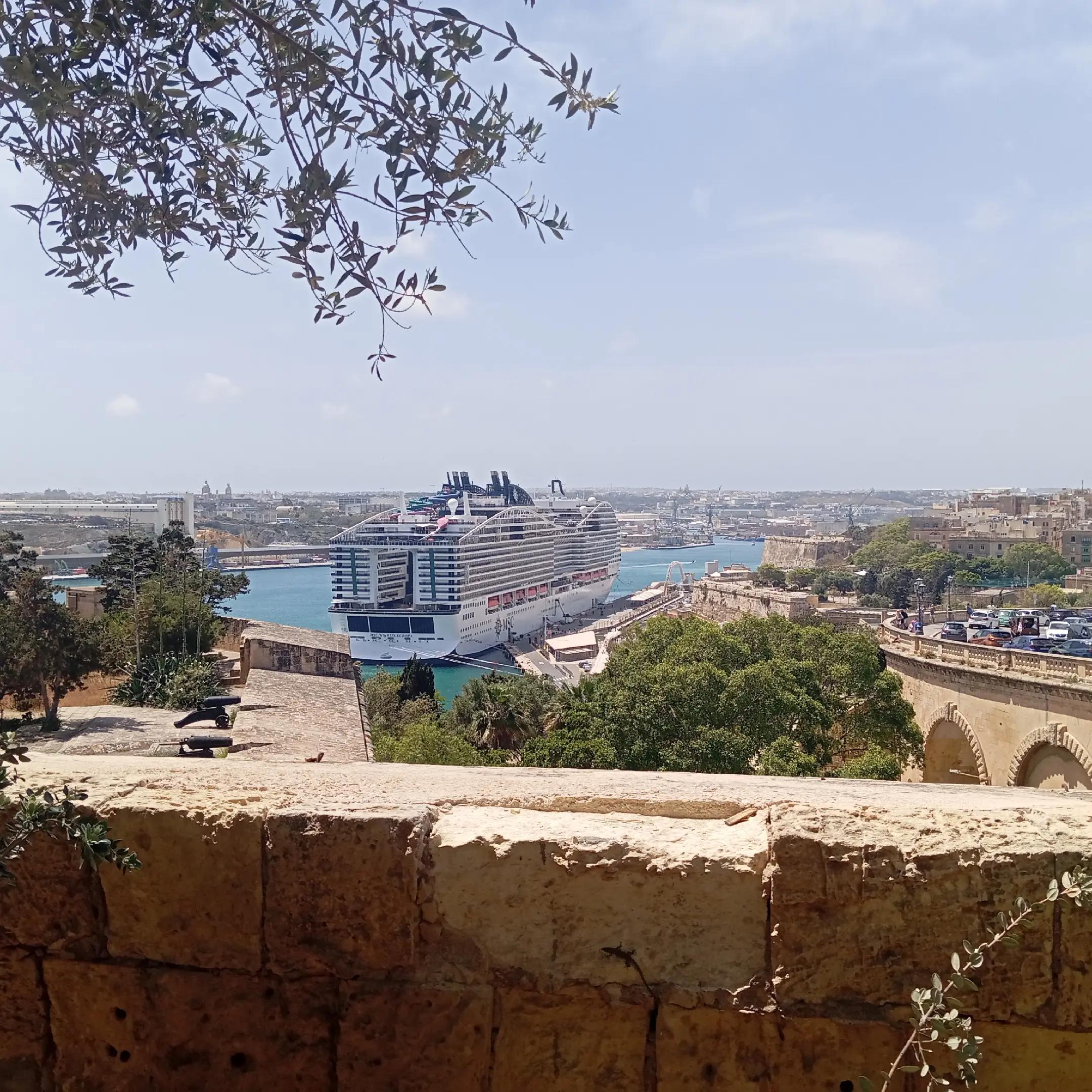@wild Malta