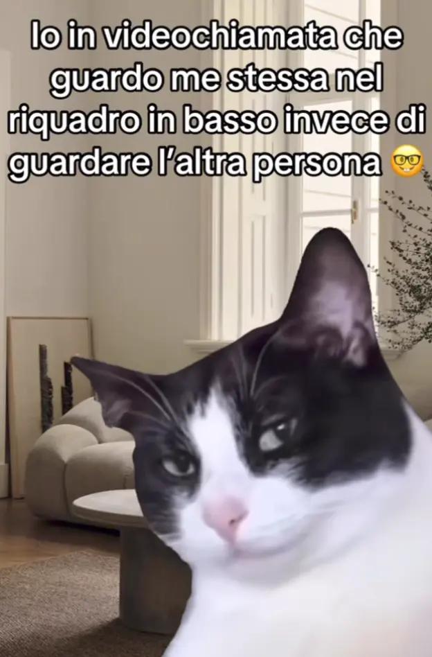 @Valentina