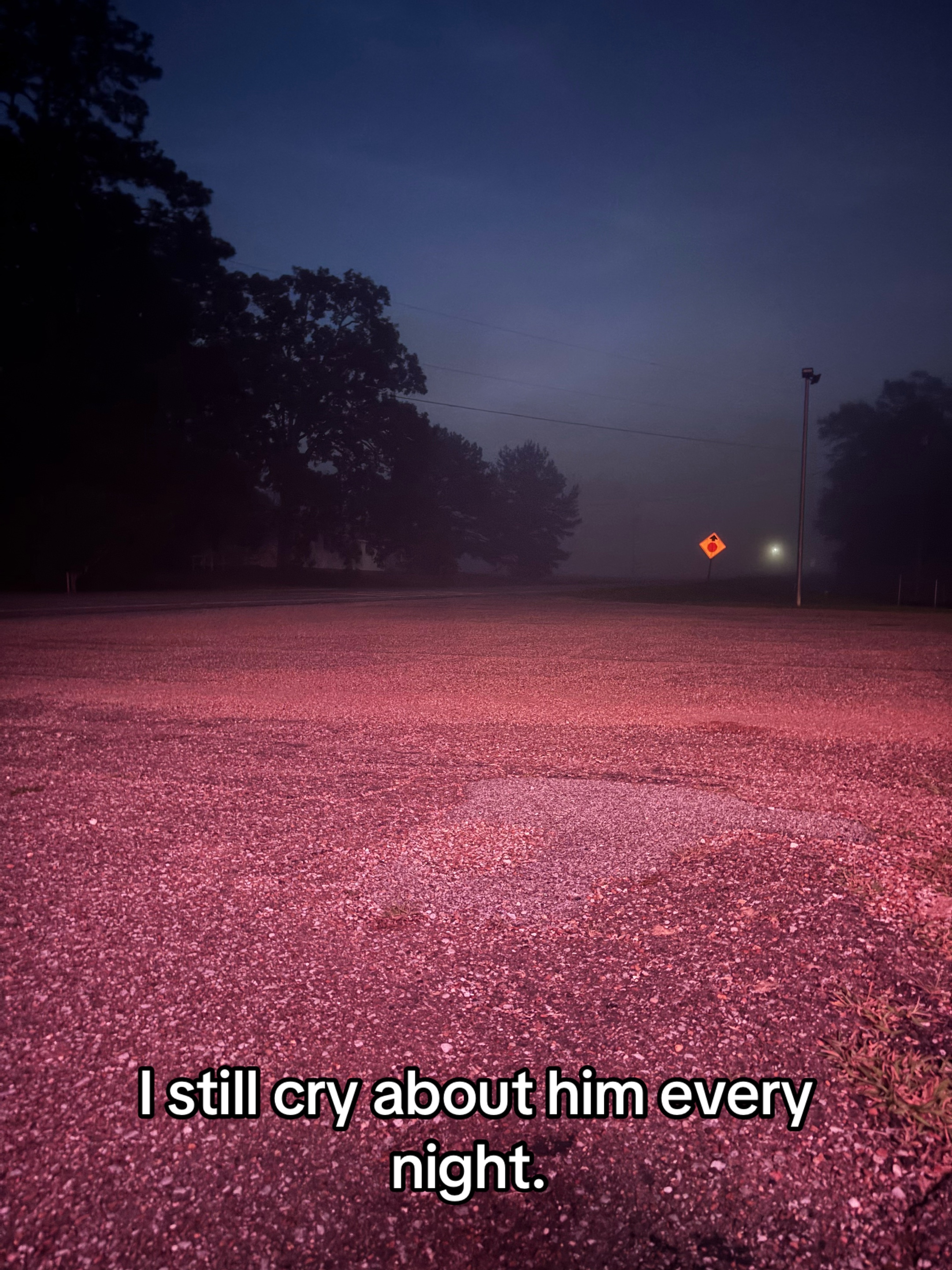 @gingerbread man