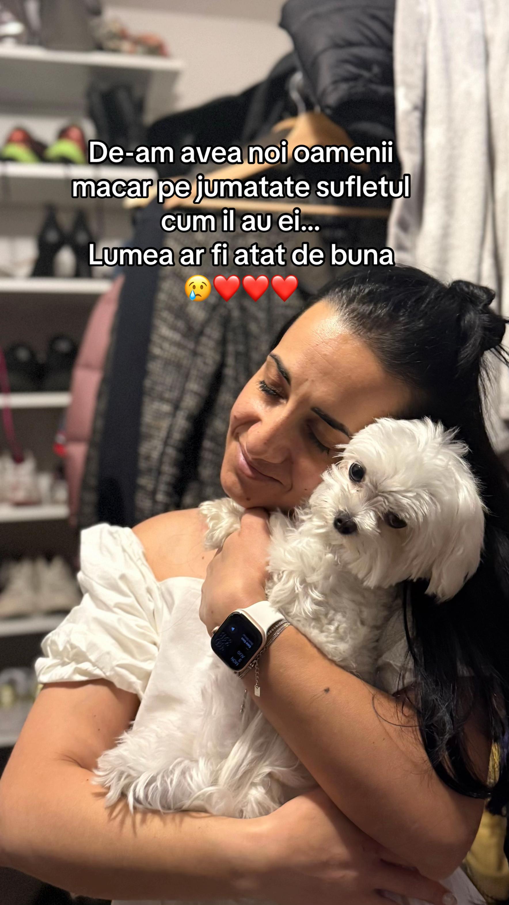 @Violeta-Elena Tonita