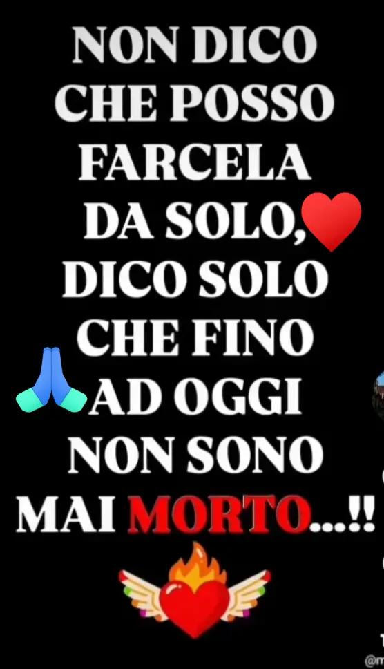 @il pugliese
