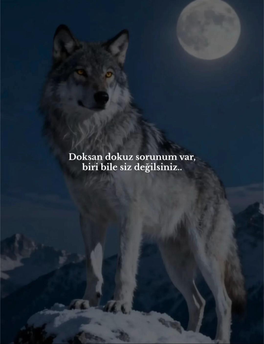 @ᴋɪɴɢᴡᴀʏ