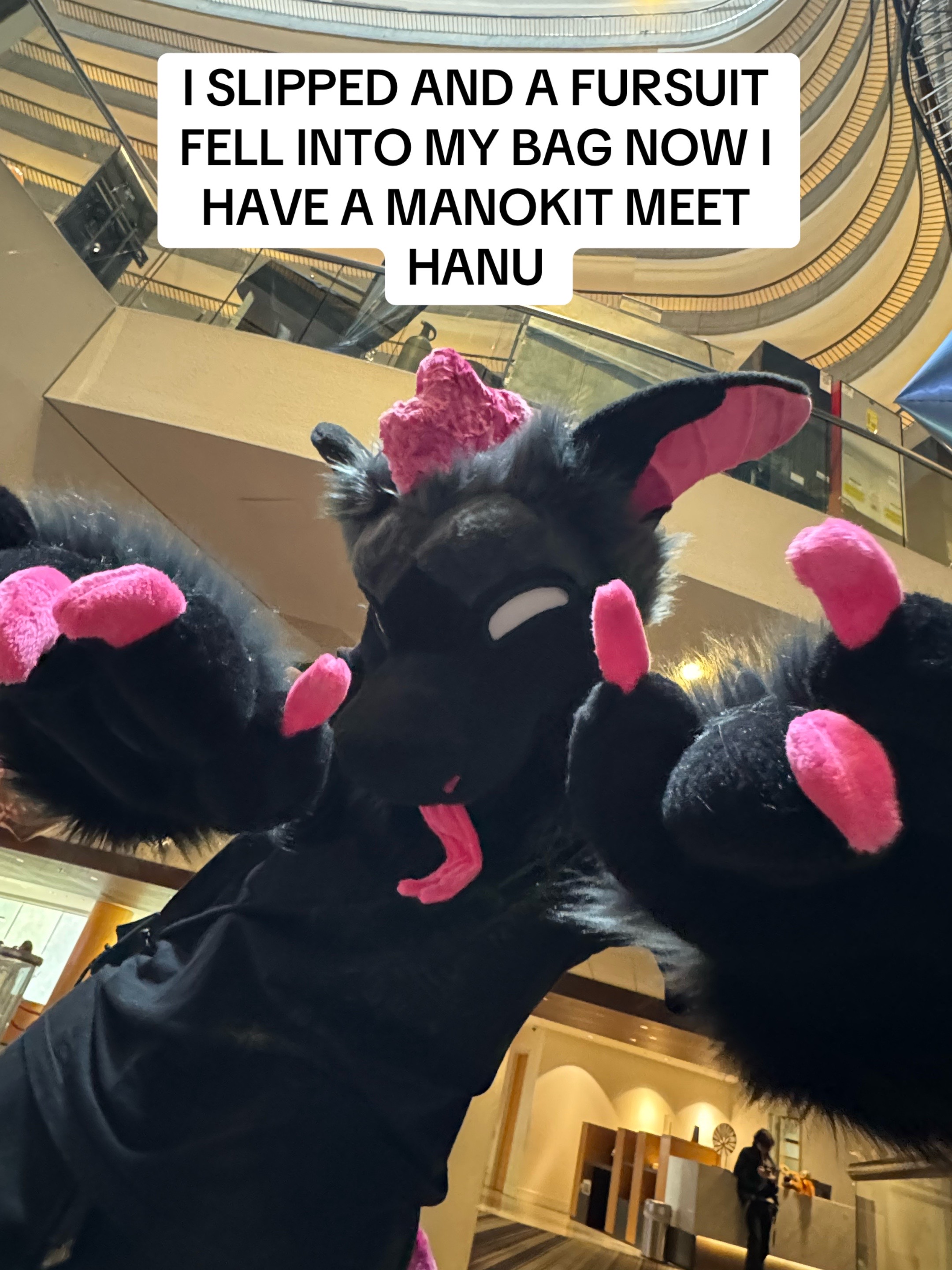 @pawbuttt🔜 MFF