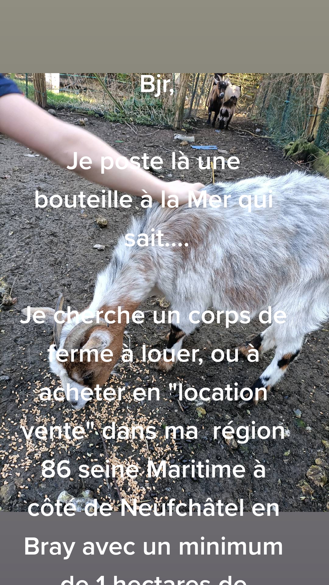 @les Joly eurasiers