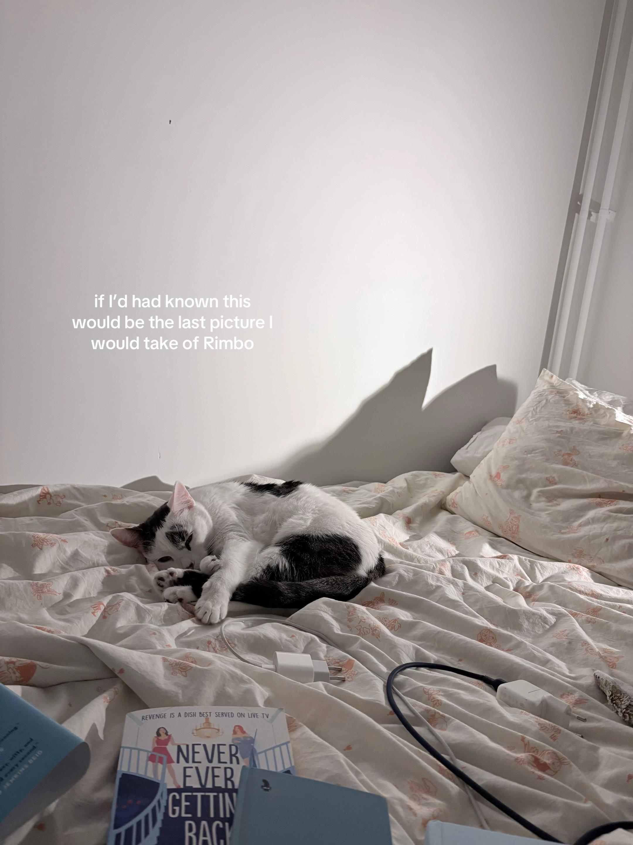 @clara 𝜗𝜚