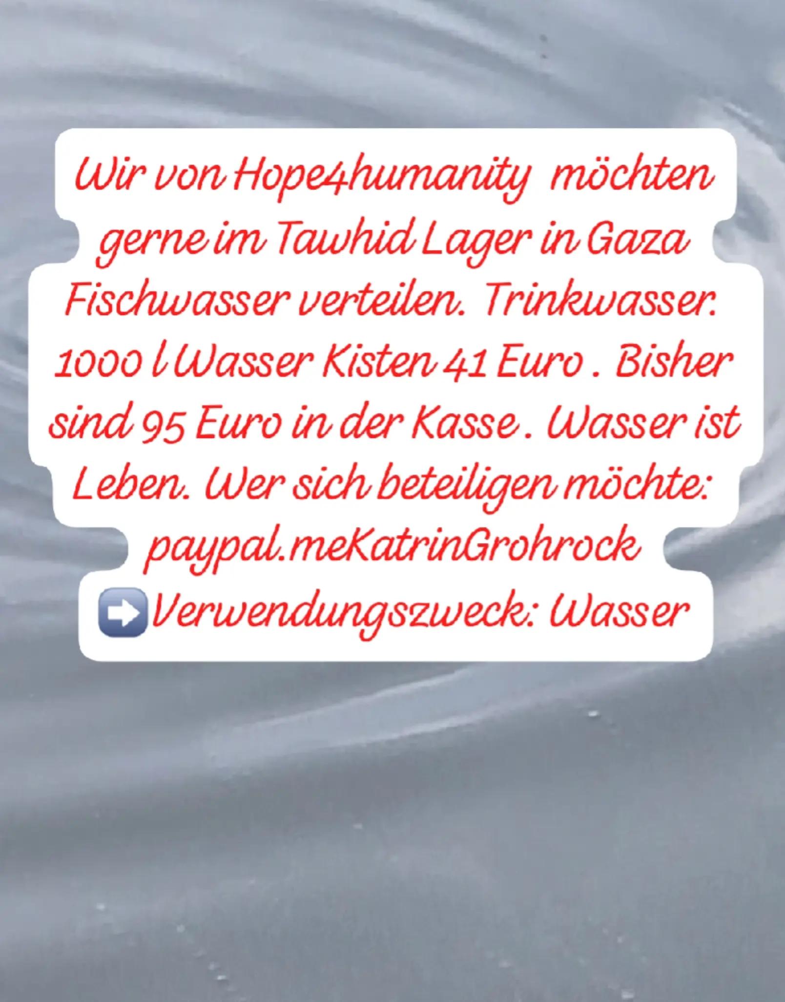 @Katrin.groh.news14