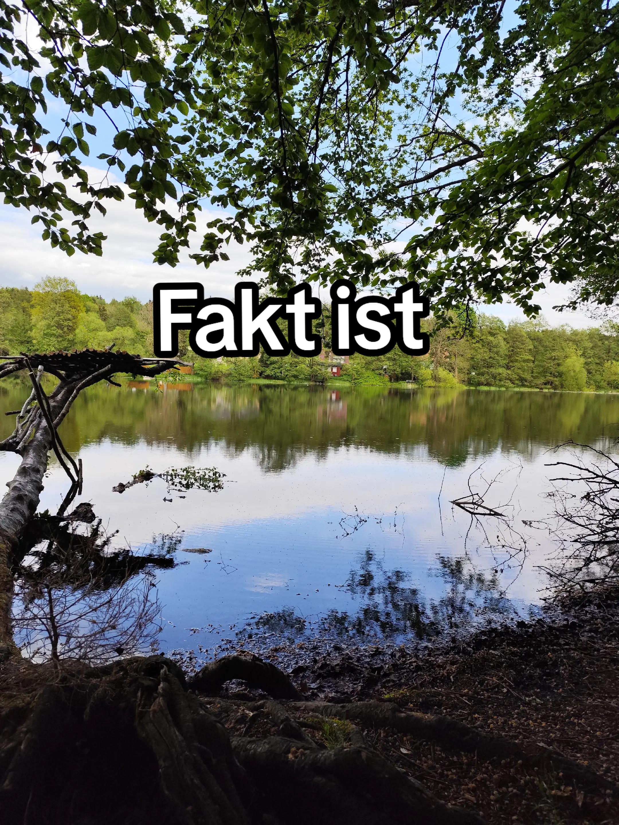 @Benny der schei&szlig;er