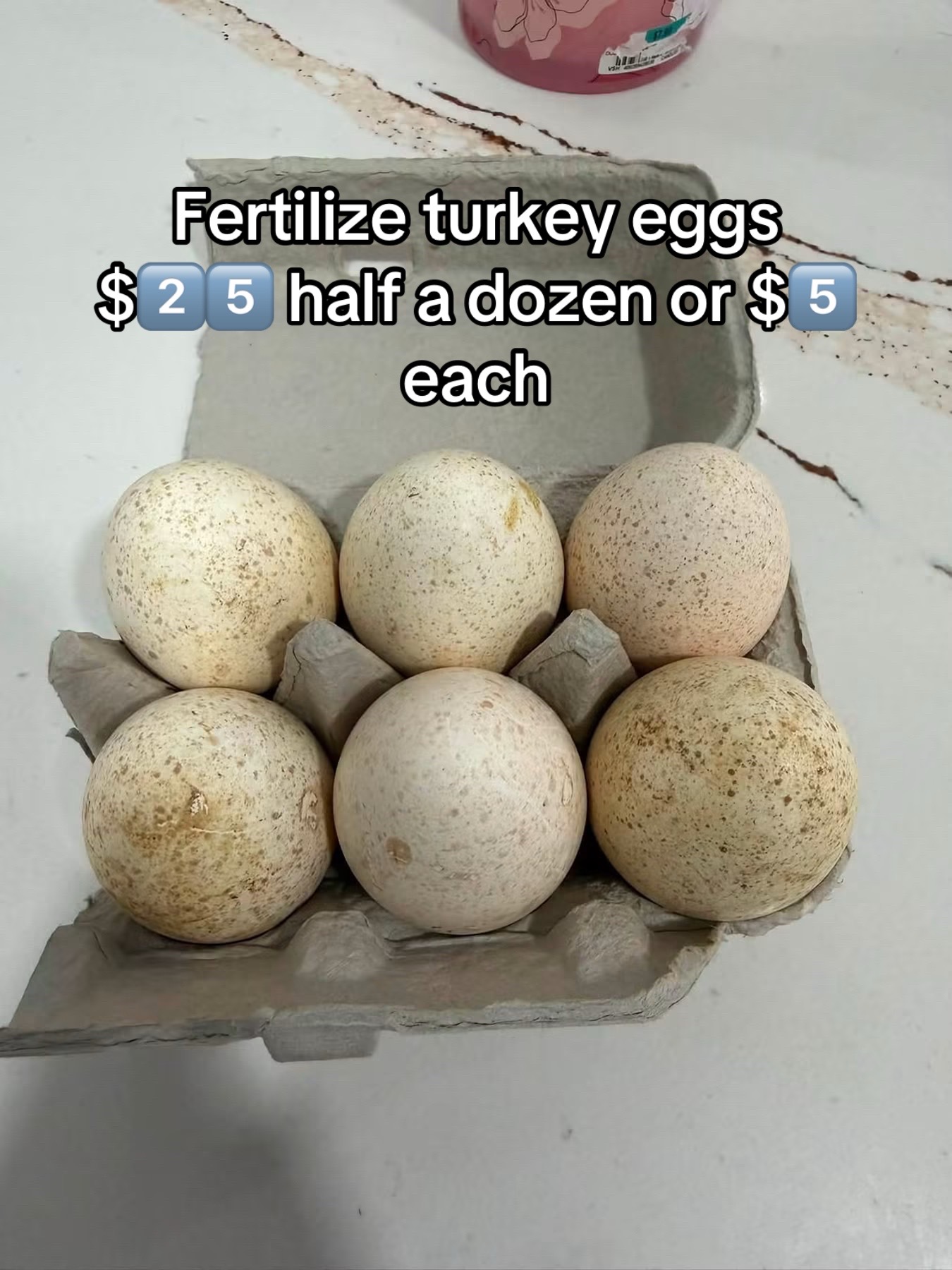 @Matthew’s Feathered Farm