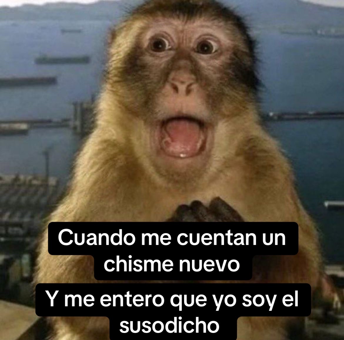 @Hernandez18-2 memes y mas