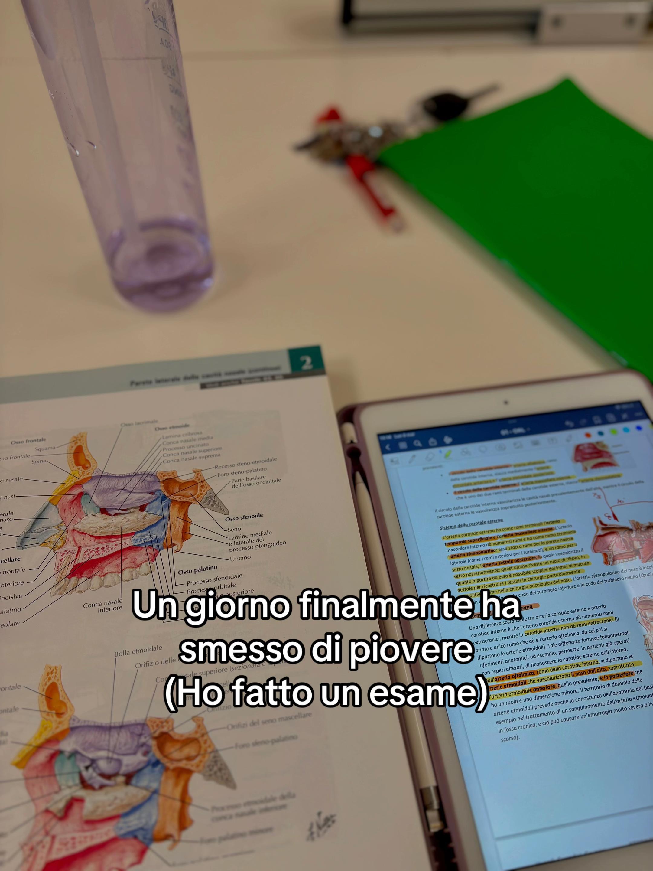 @Giulia Battaglia