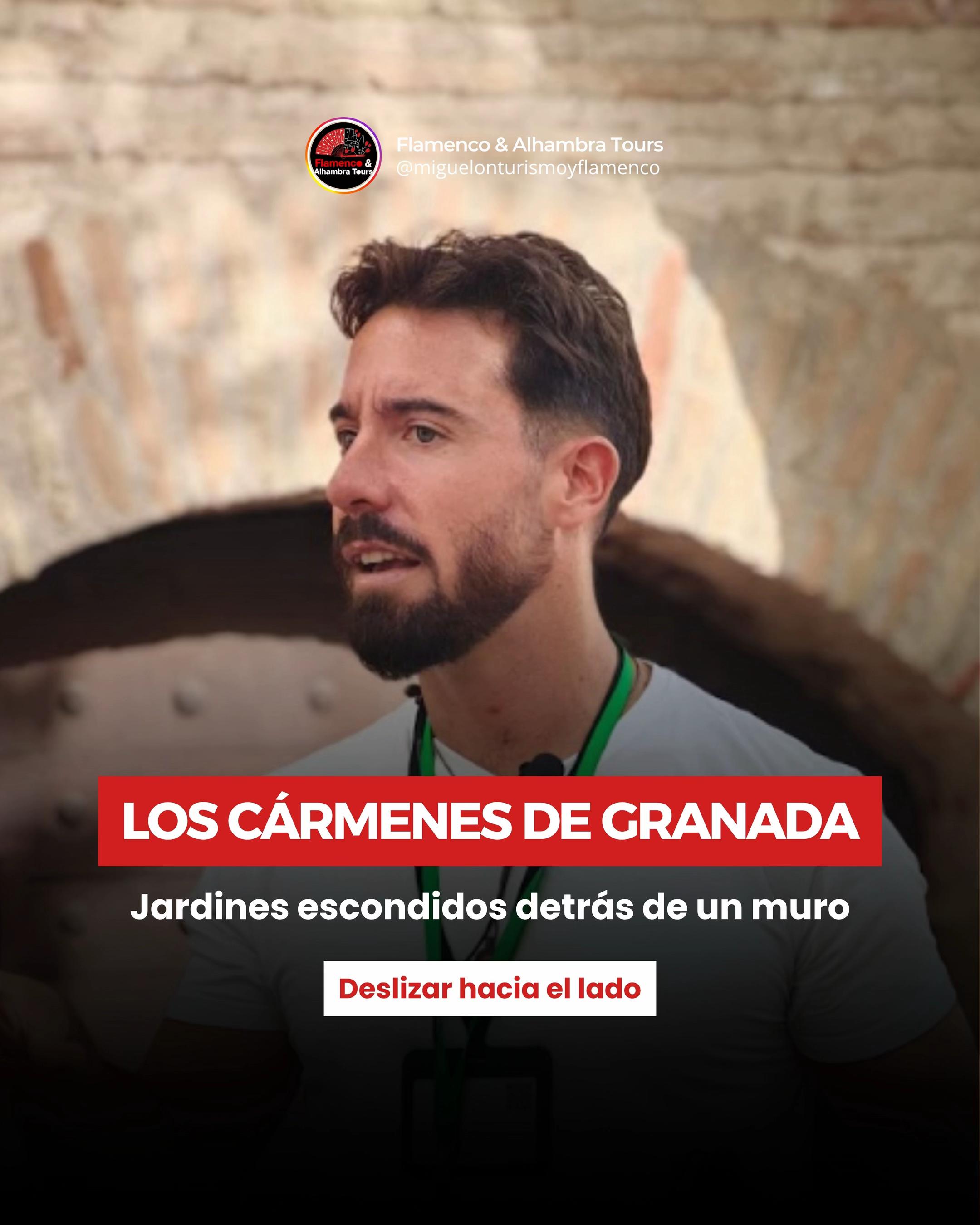 @Flamenco & Alhambra Tours