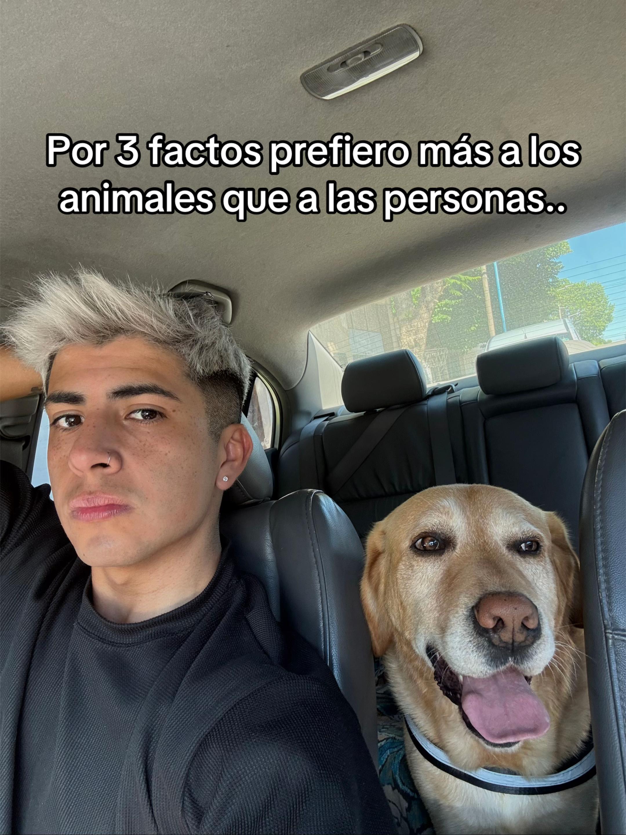 @Tincho oz