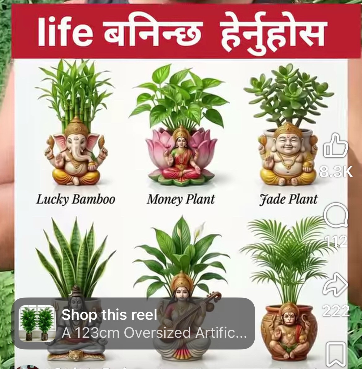 @Bhanu Acharya