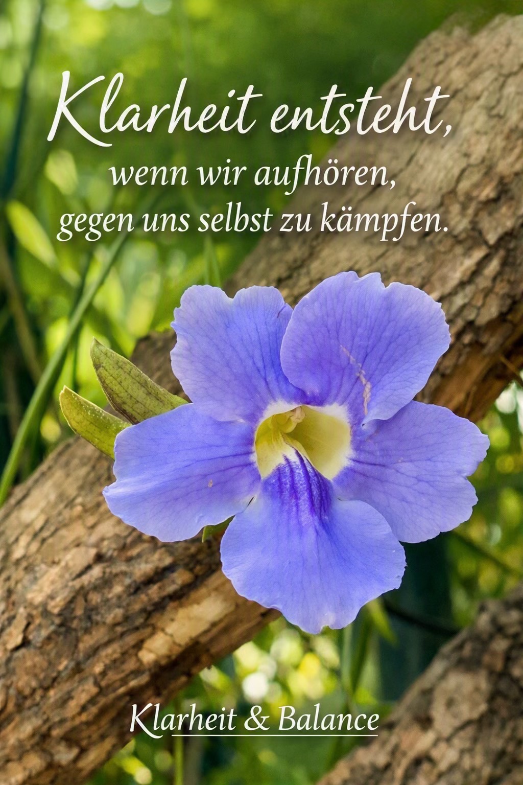 @Lily🇩🇪🇹🇭 ที่นี่มีกำลังใจ💕