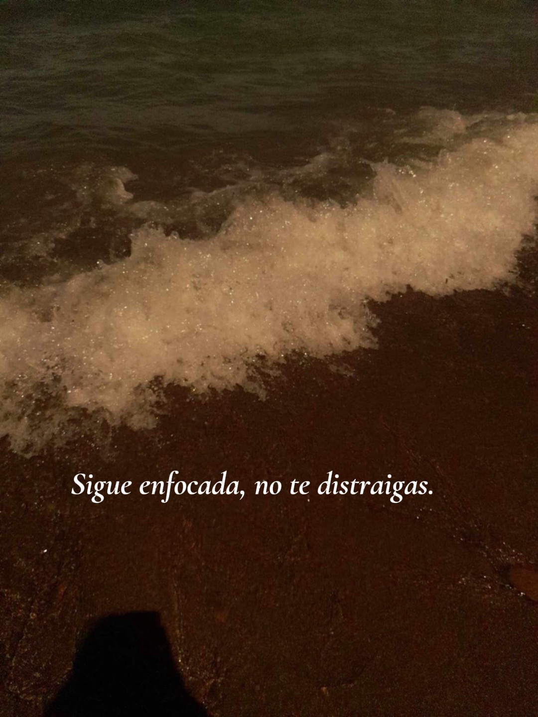@Yeimi Leal 📚🌷