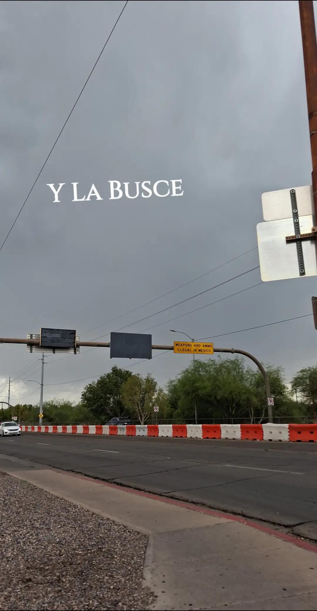 @Luisa Gonzalez