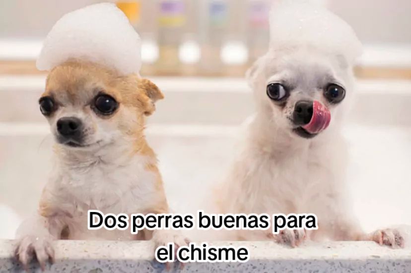 @Andreina 