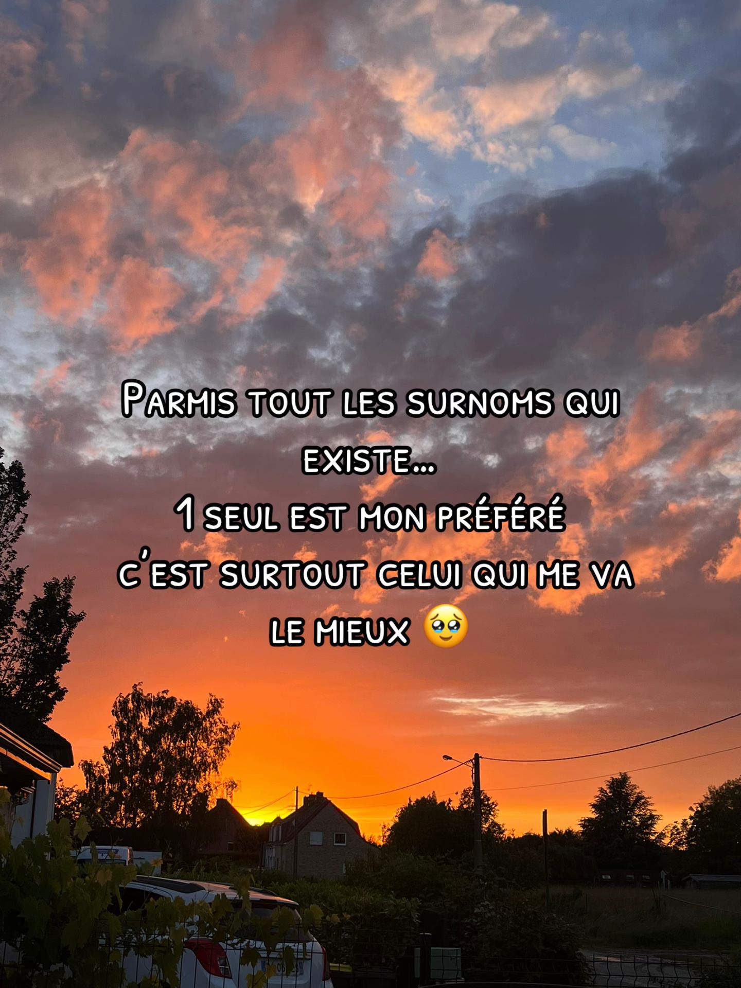 @_log4ne._
