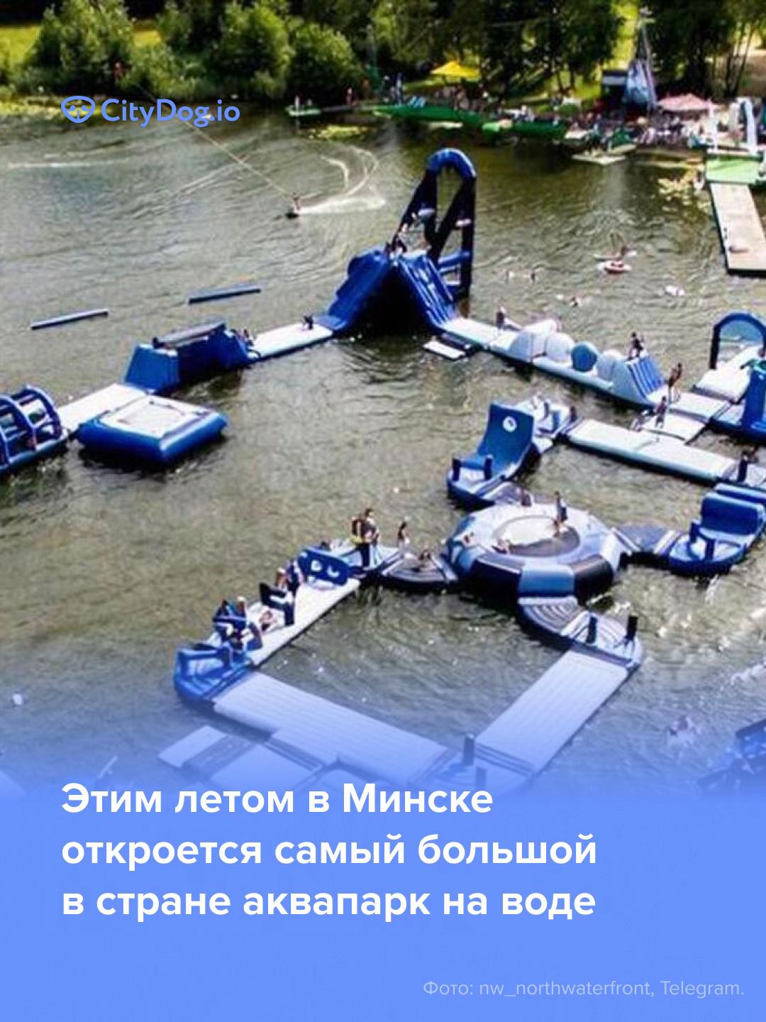 @CityDogby журнал о Минске