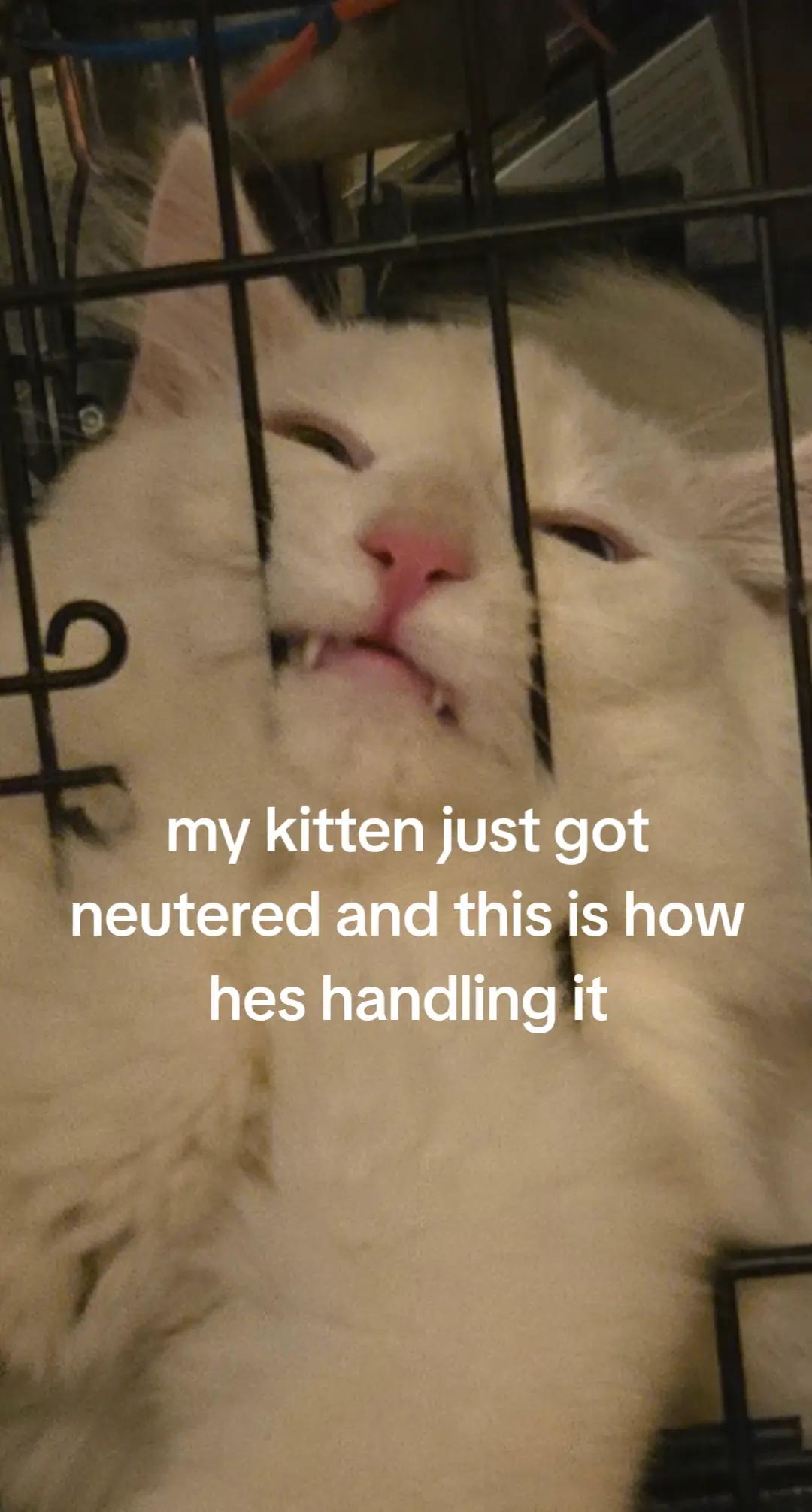 @Taras middlefinger