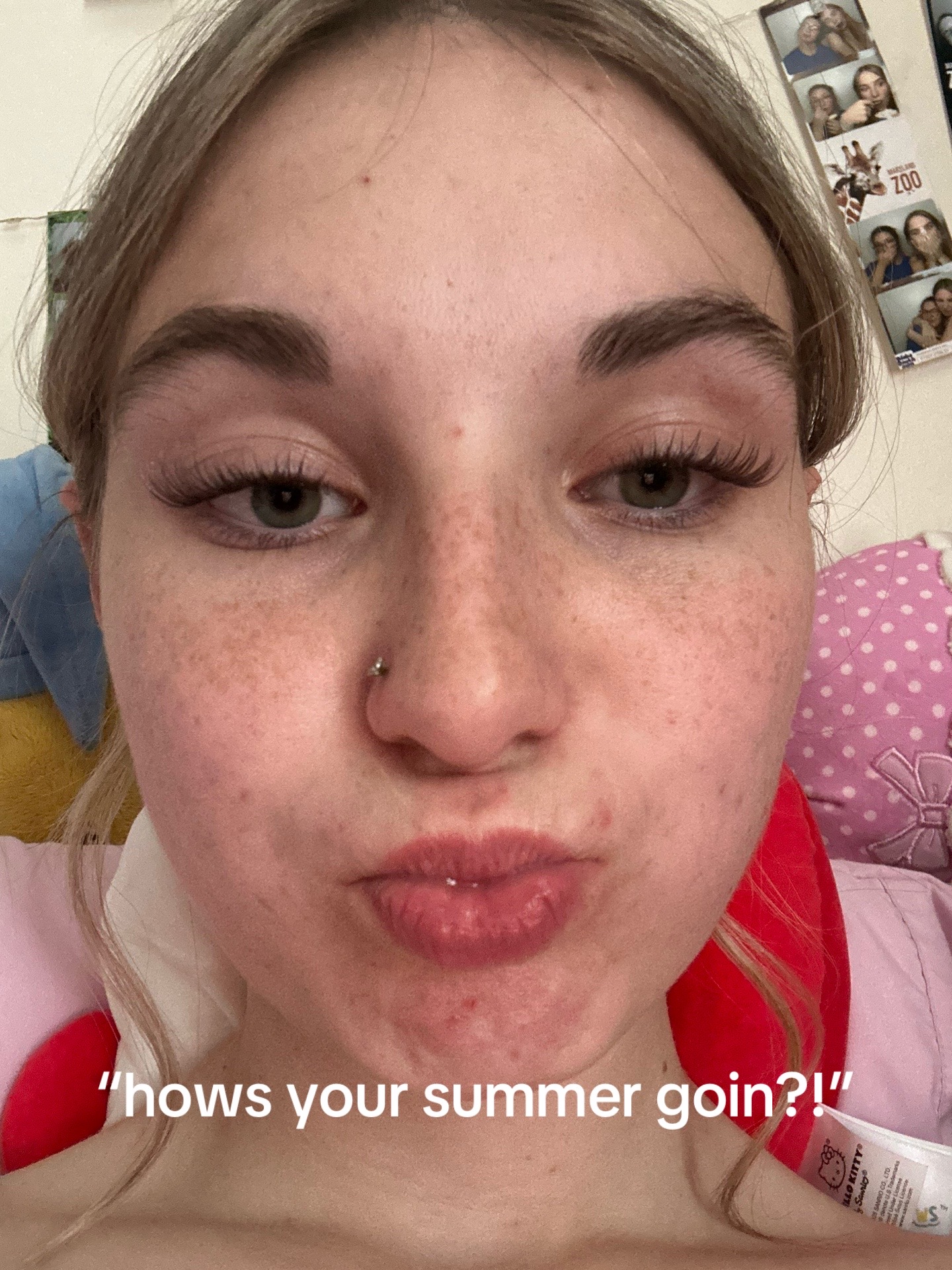 @sophia&ensp;angelina