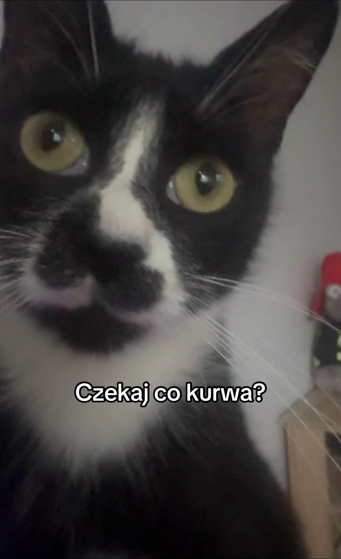 @TikTok.Maksiu