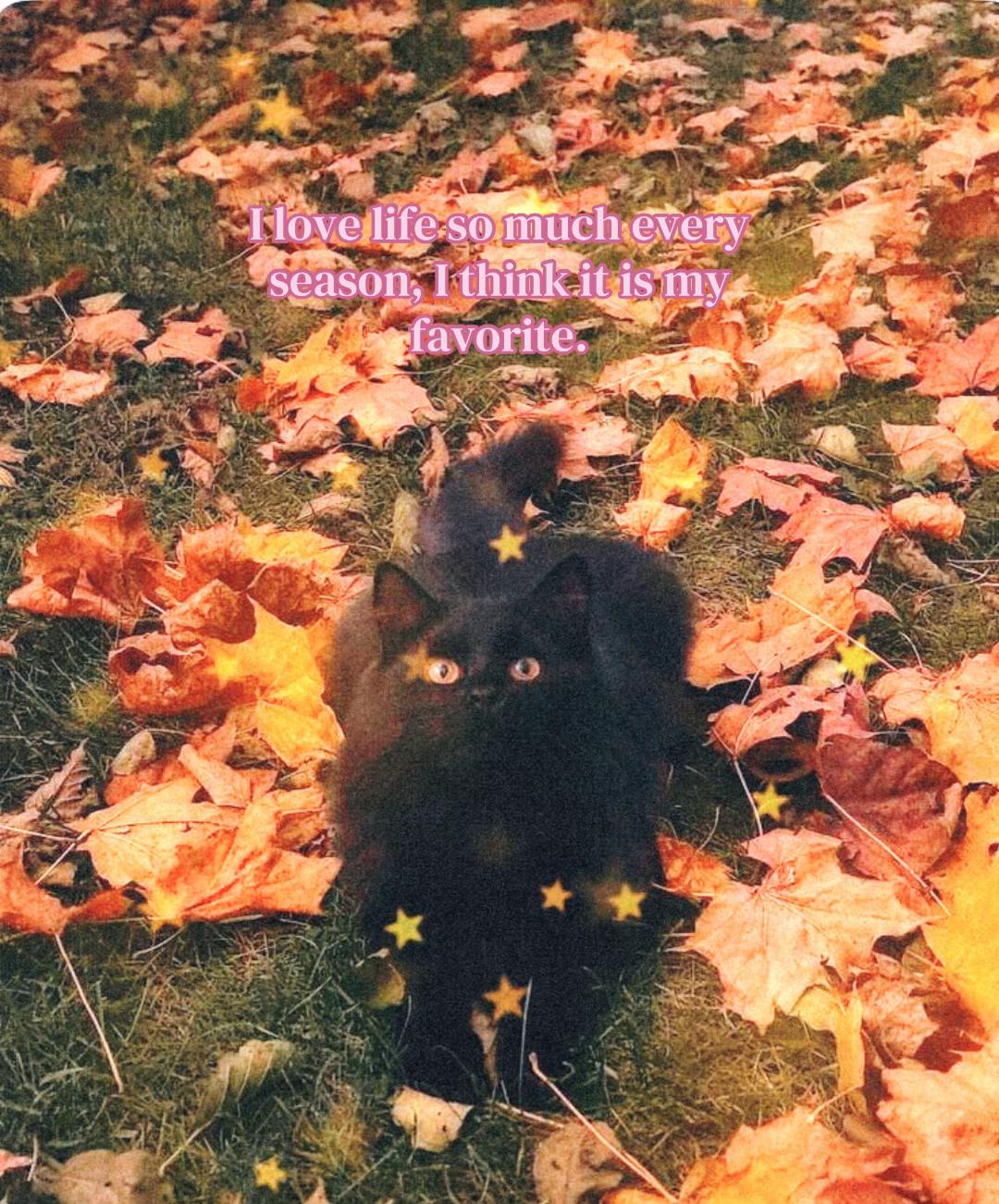 @₊˚⊹♡🧘🏼&zwj;♀️🌀🌞 ˚｡⋆౨ৎ
