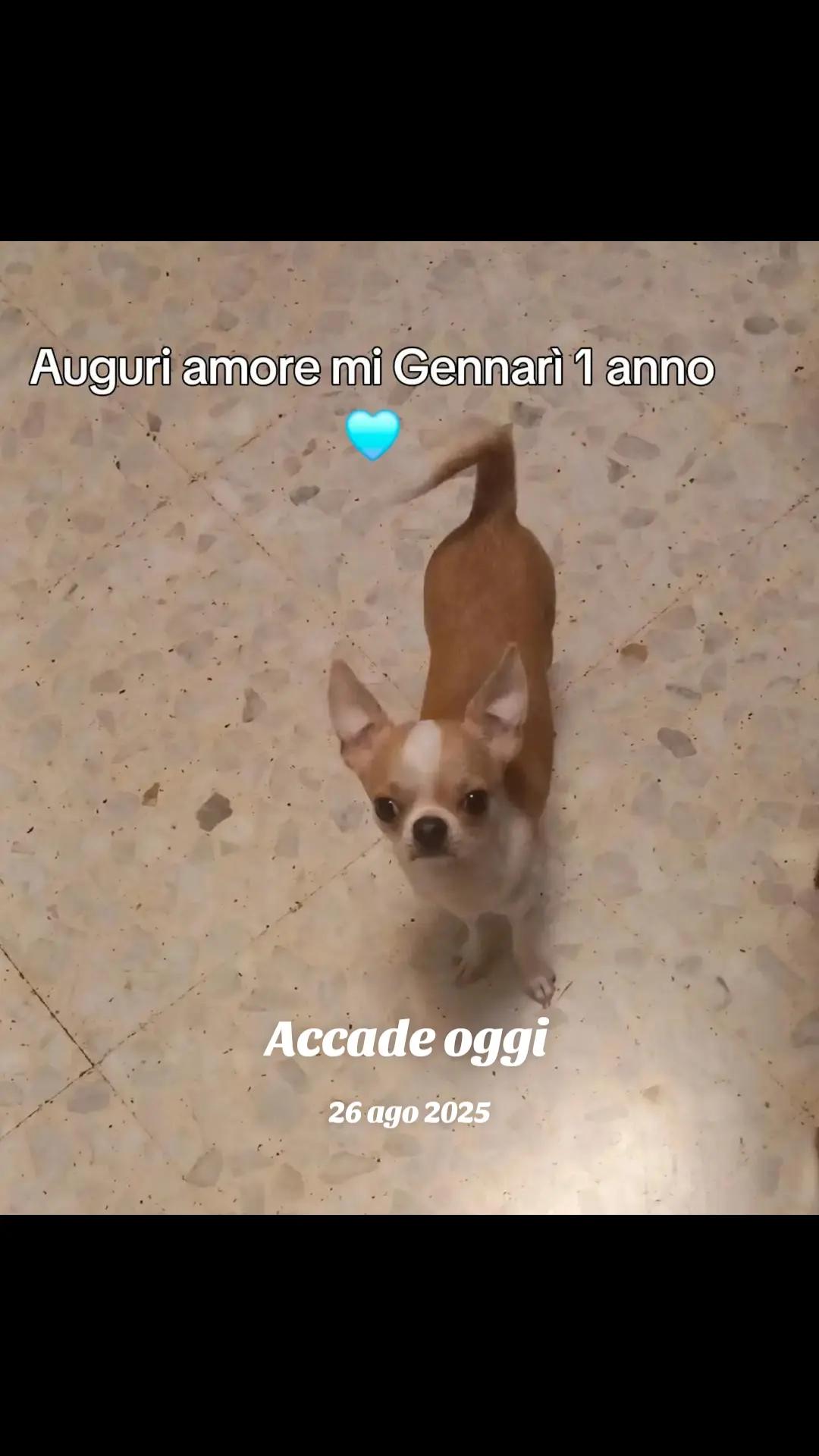 @Damiana Ancona