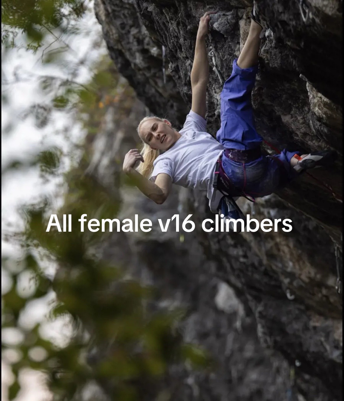 @SpidaClimber