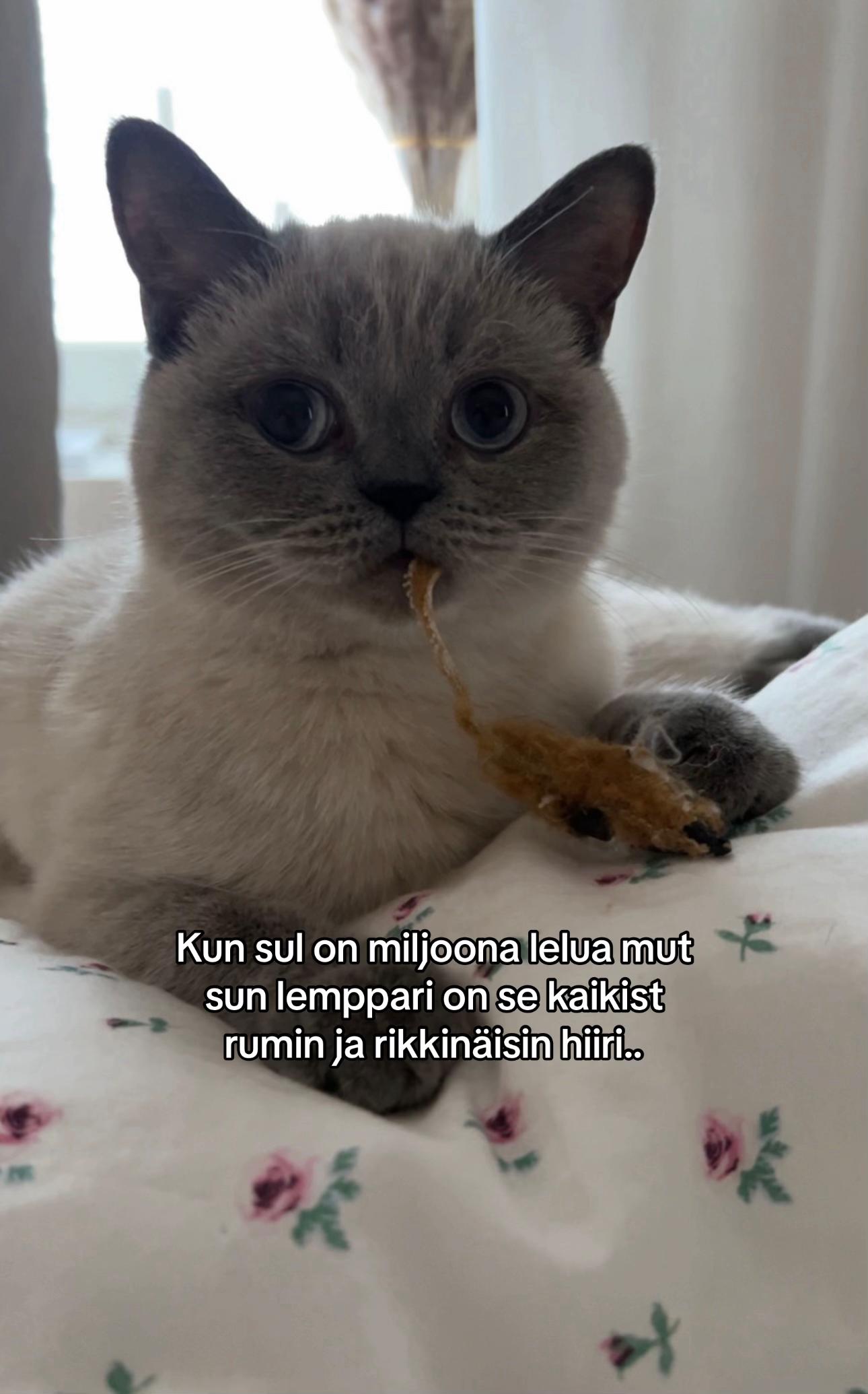 @Nelli Mattila
