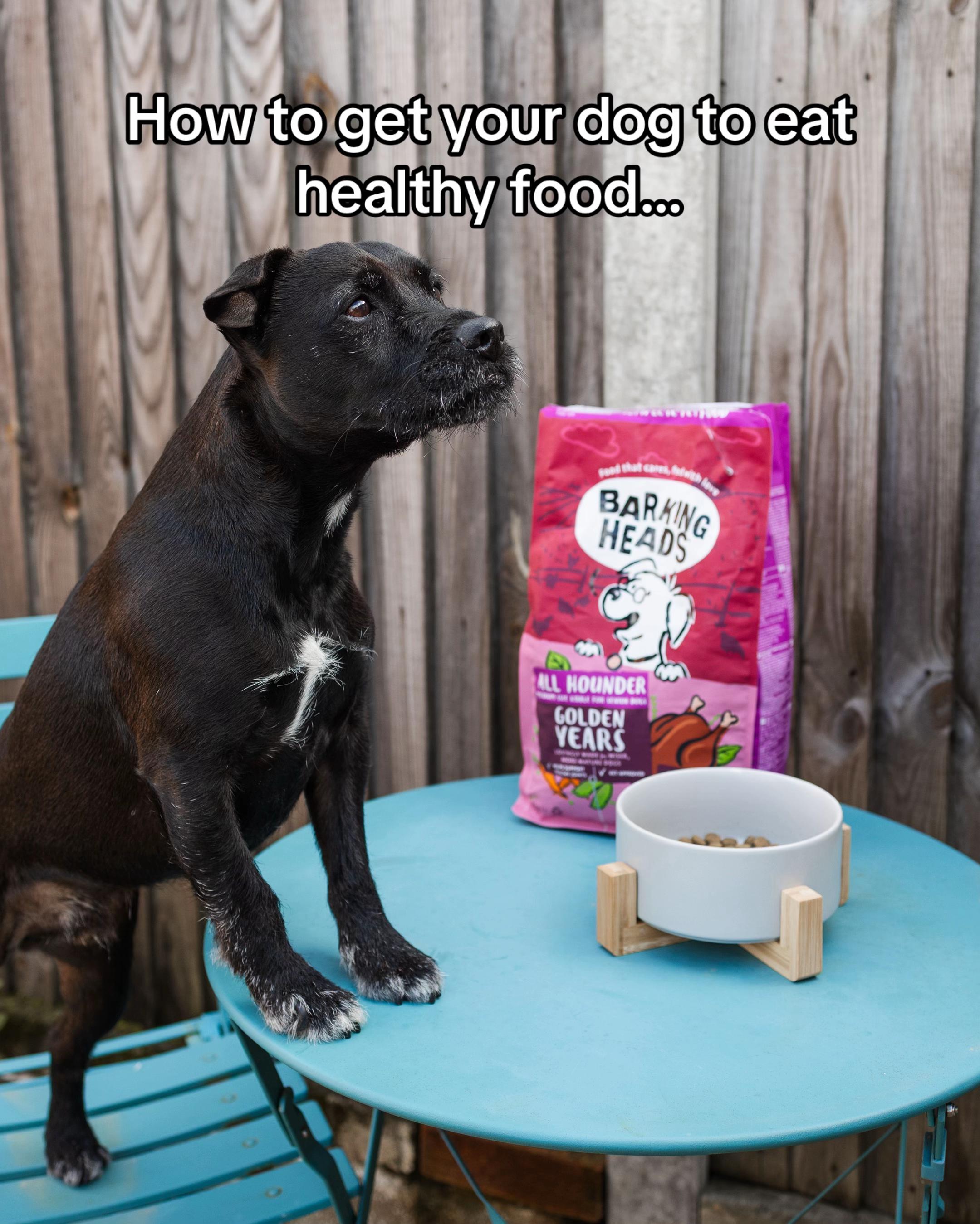 @Barking Heads Dog Food