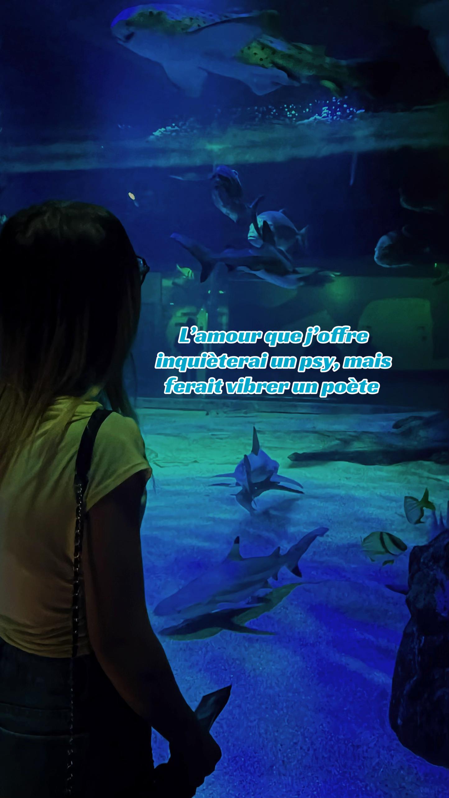 @Melina ᥫ᭡