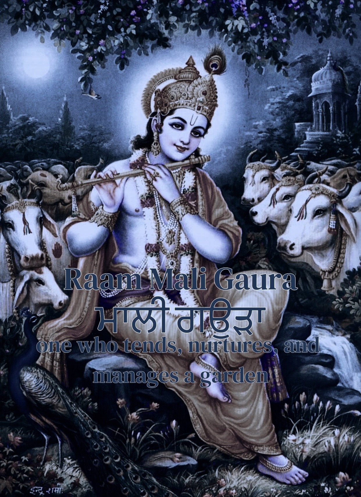 @ਕ੍ਰਿਸ਼ਨ | کرشن ࿘ ☬ ☸︎ ॐ