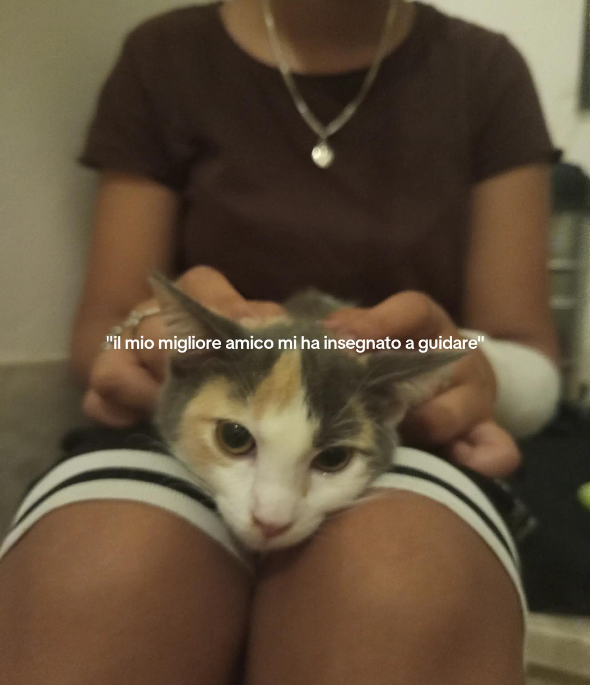 @priv._.hargur