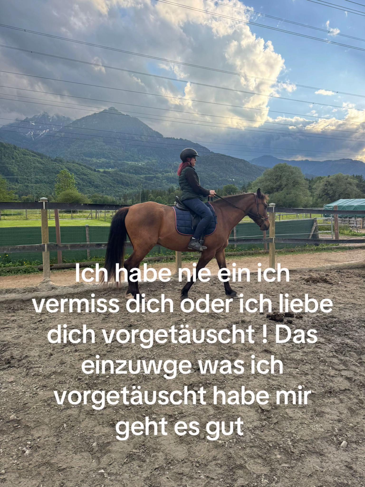 @Alina pferdefreund