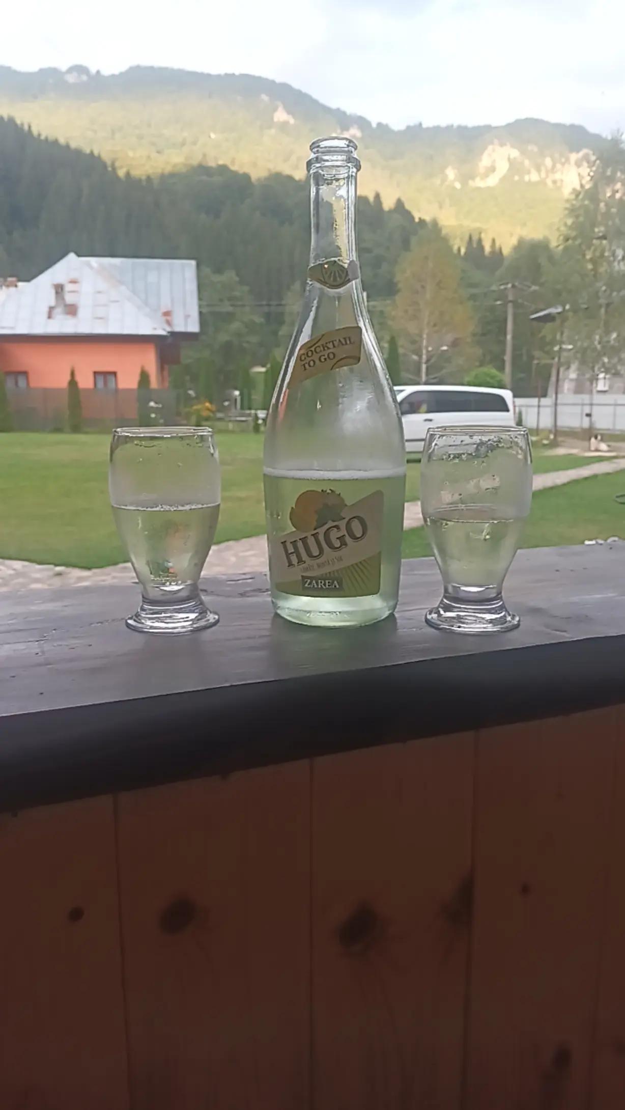 @sutaloredana382