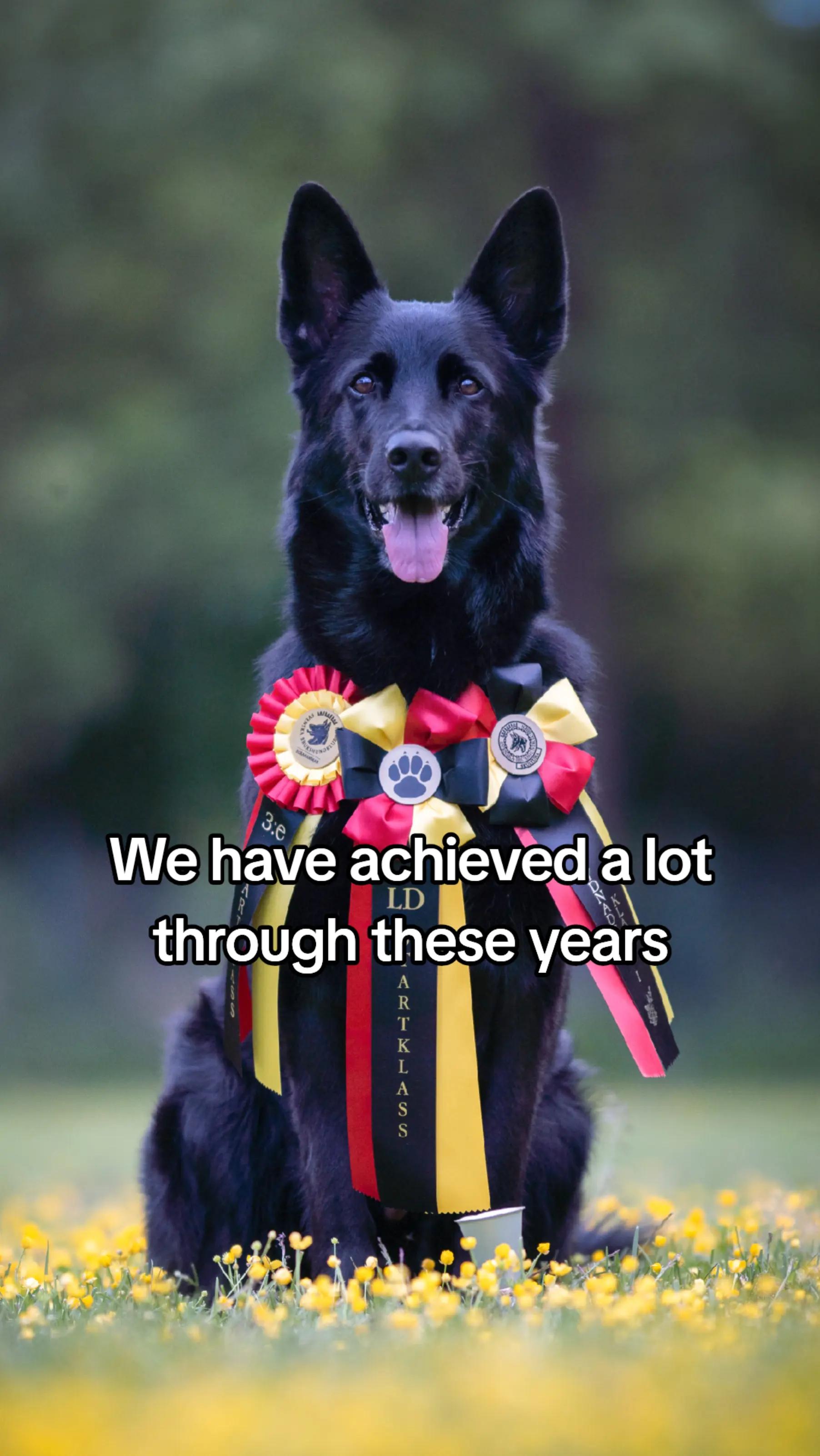 @offbrandgsd
