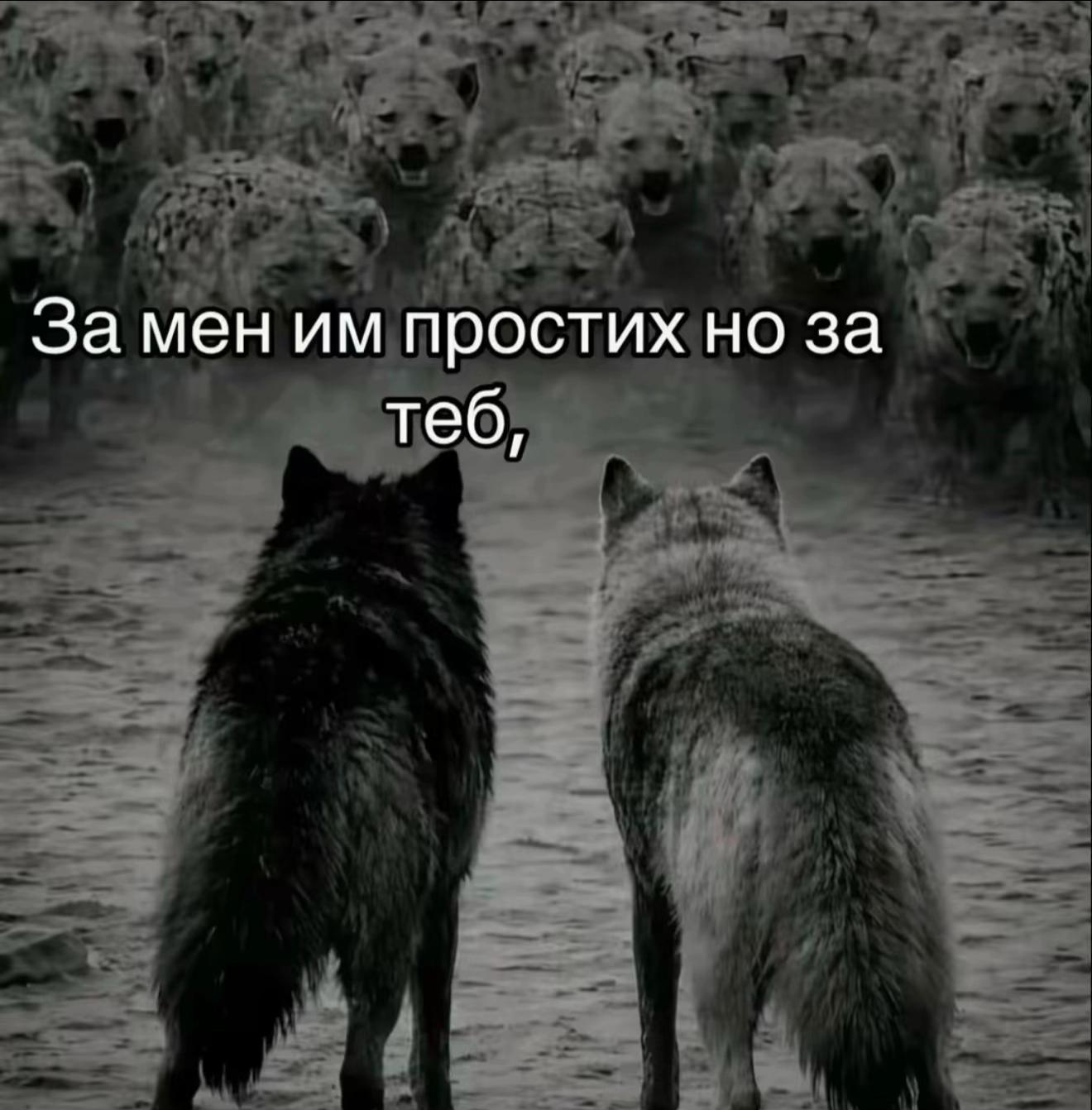 @๐๐ฎ๐ฝ๐ฝ๐ … ๐