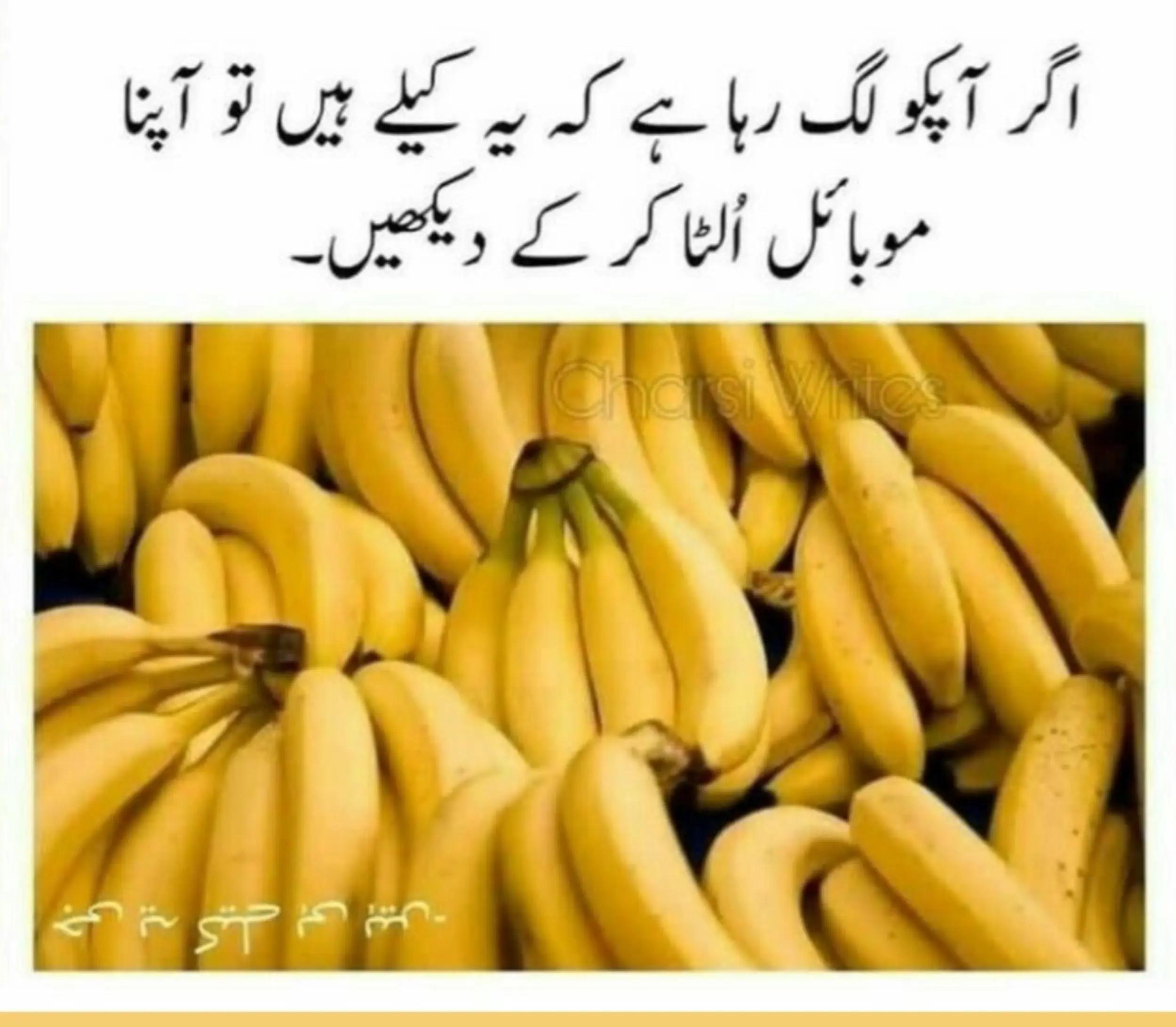 @میاں صاحب ❤️❤️