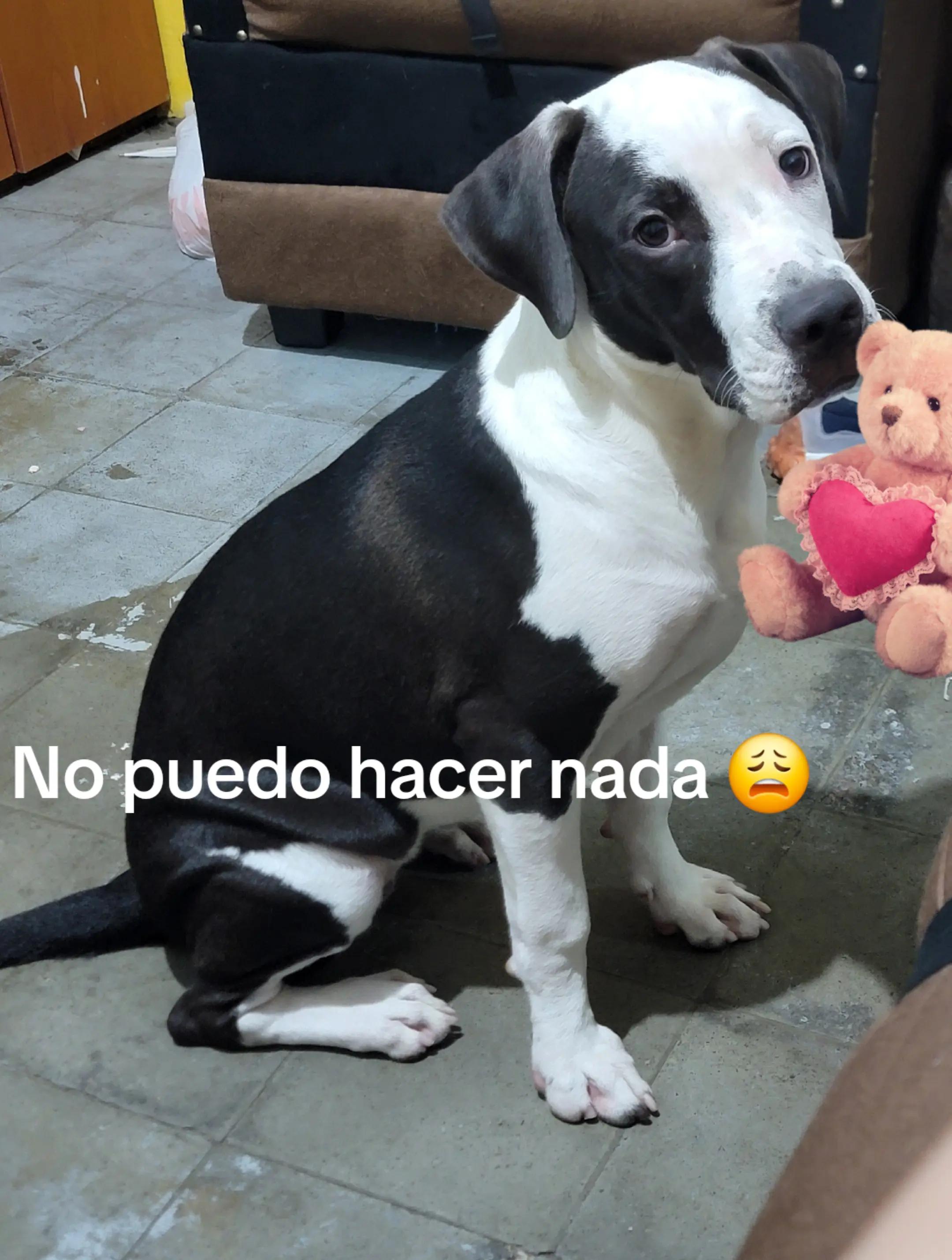 @Paola Cardona07