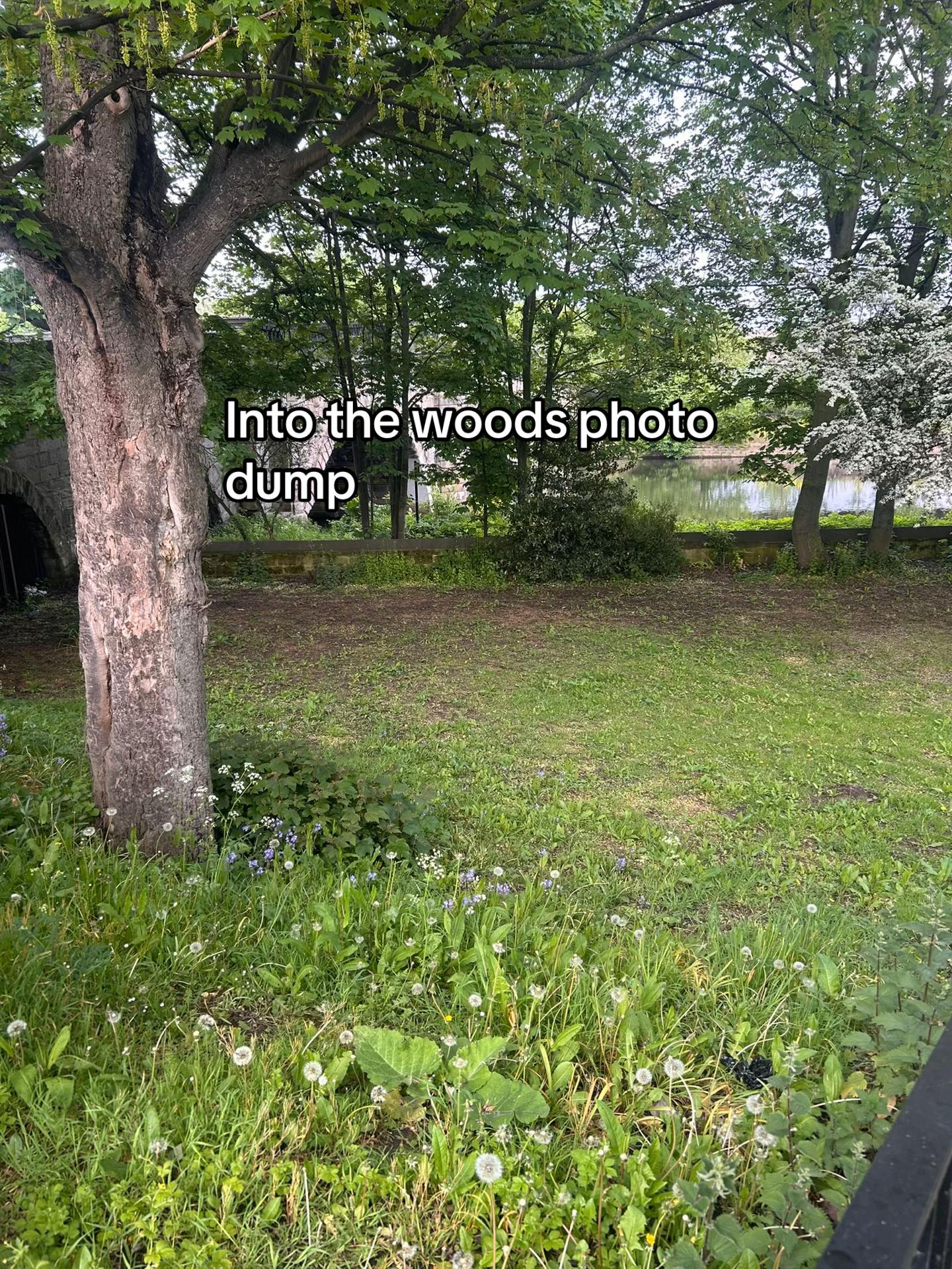 @🫧