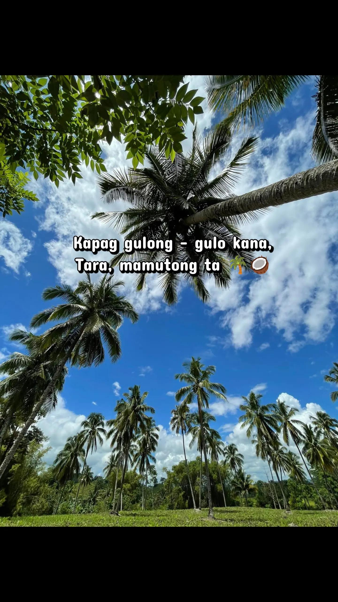 @Misis Bethy