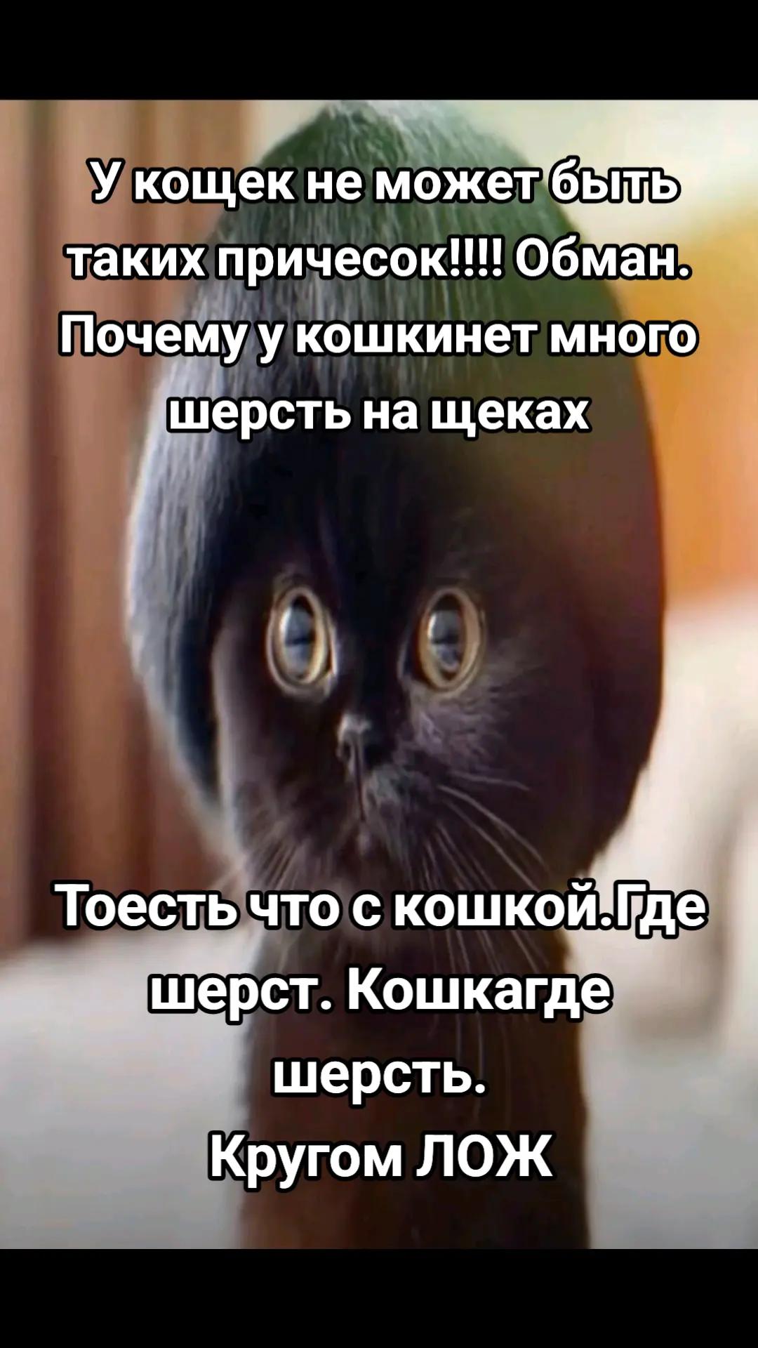 @блогер кича