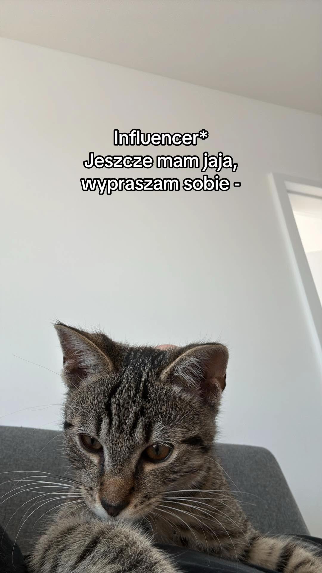 @pan_pyzek